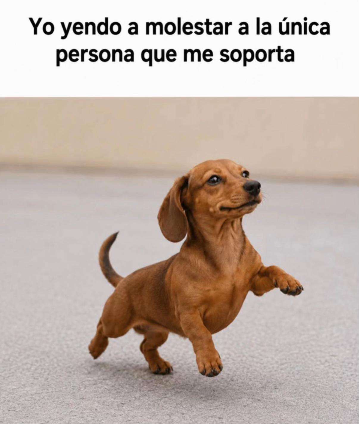@nancy.lu.mexico. CDT