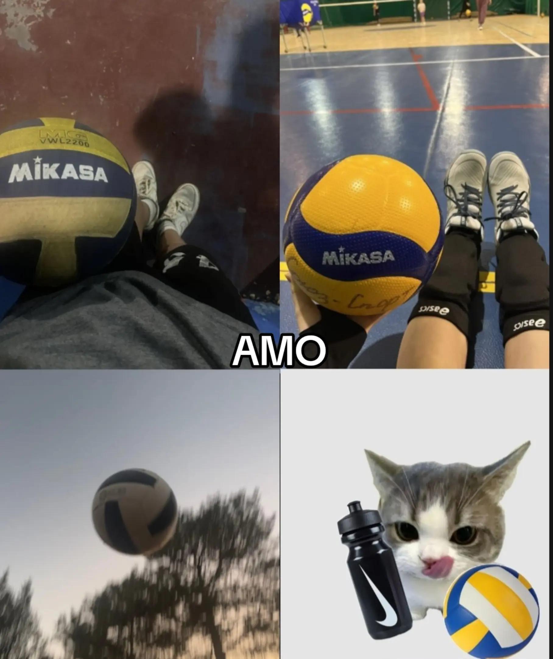@★~interno~★