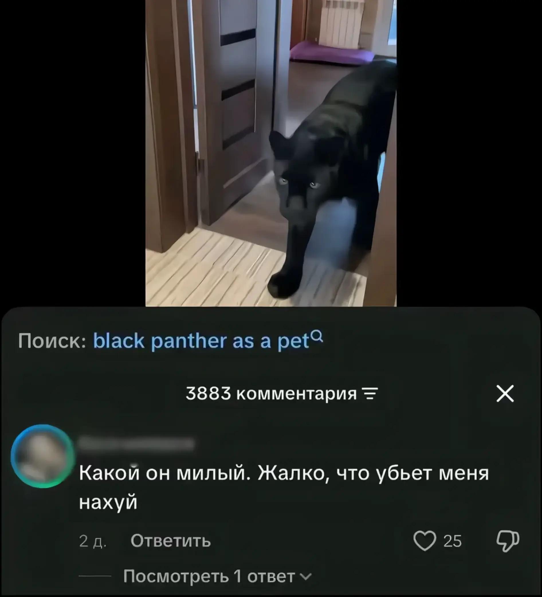 @q1zeex