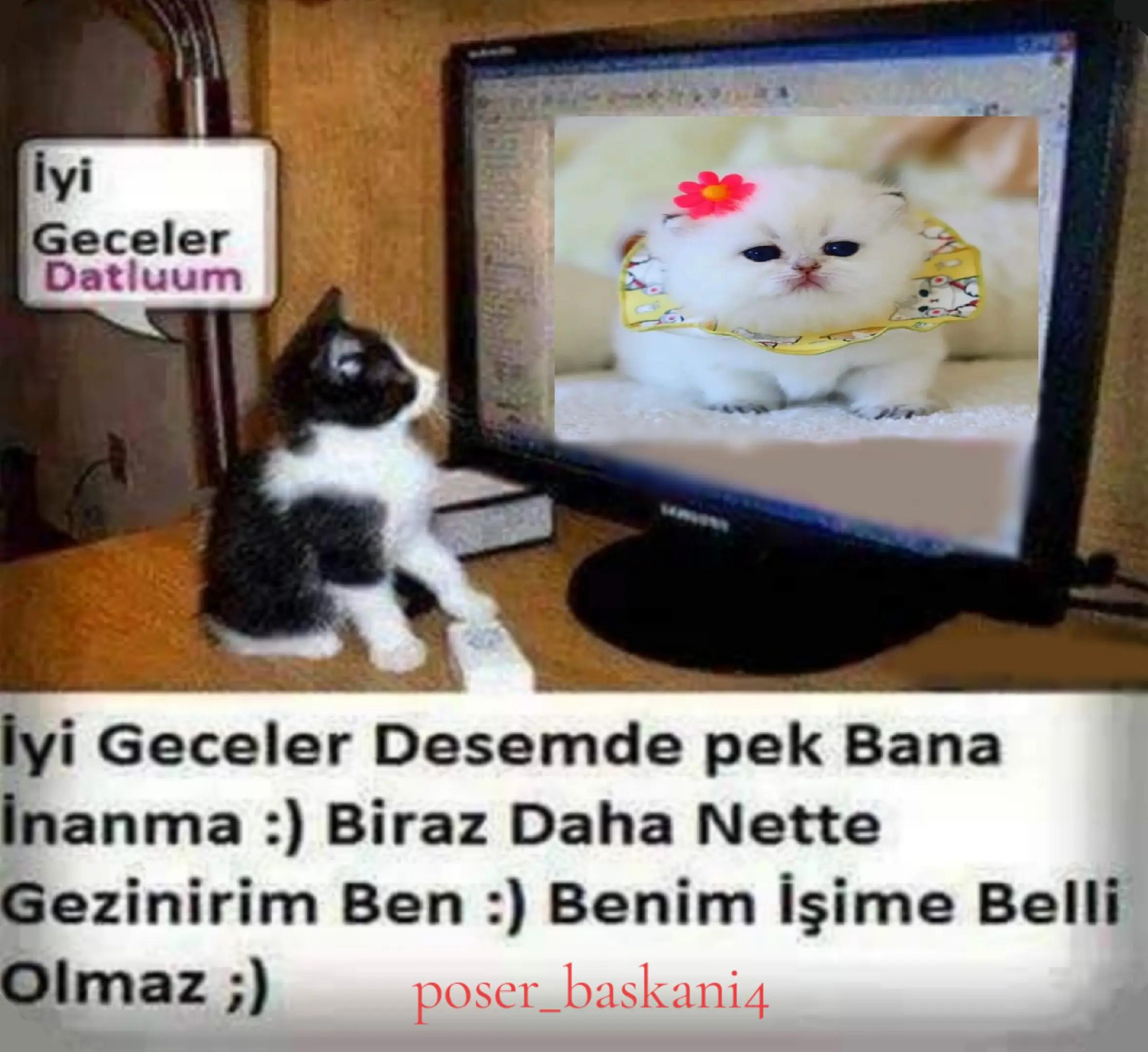 @poser_baskani4