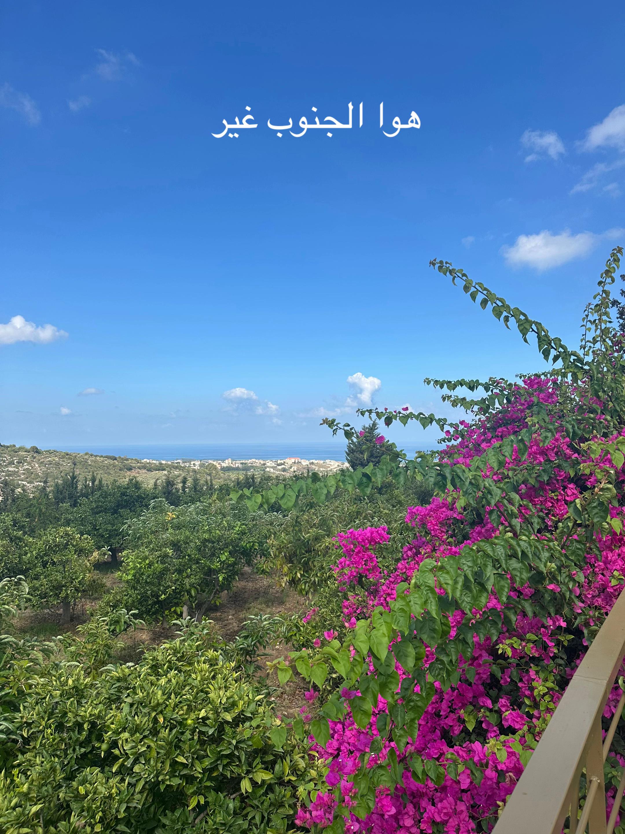 @ديما | Dima