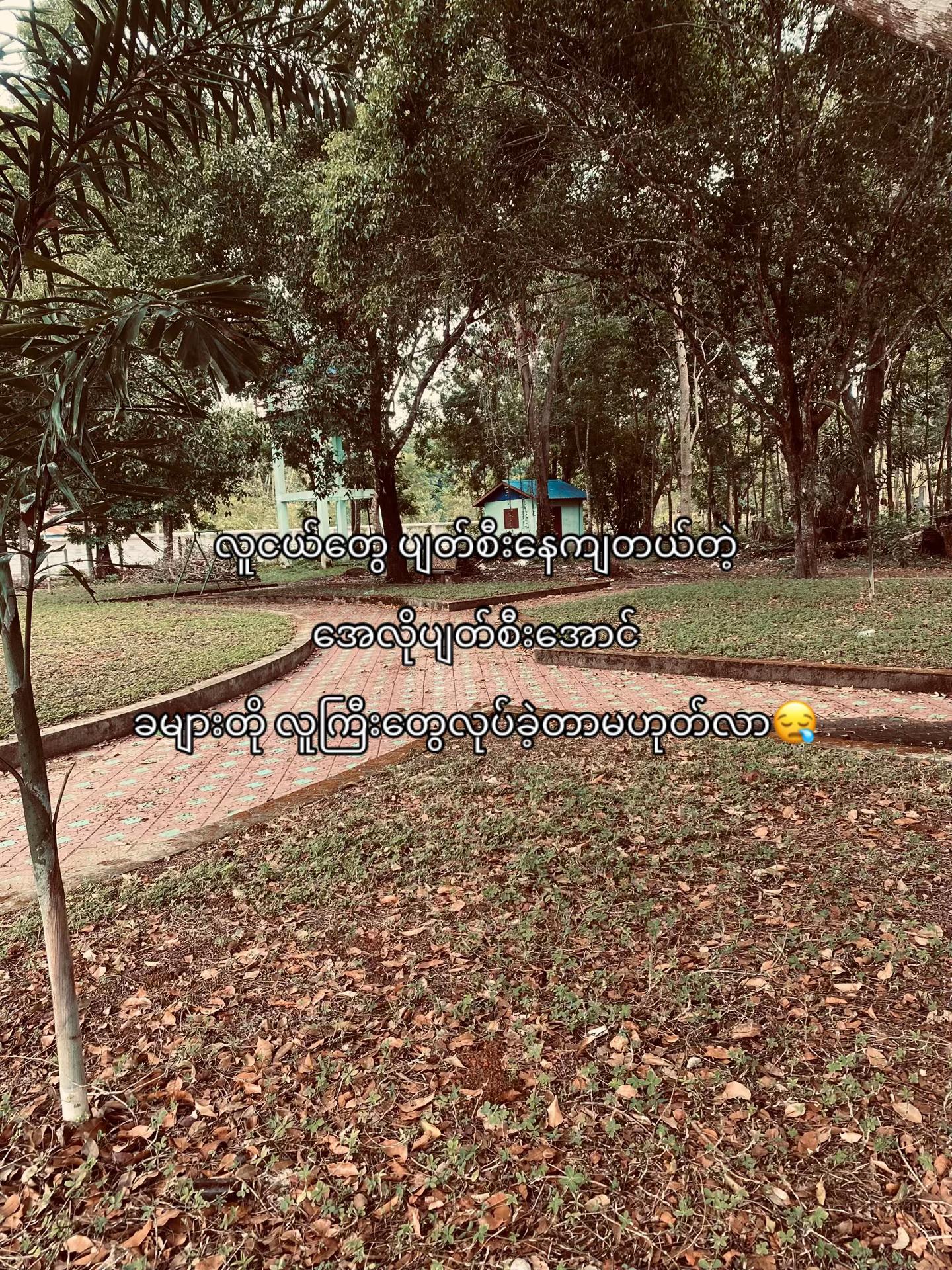 @မောင်ခန့်🦫⚡️