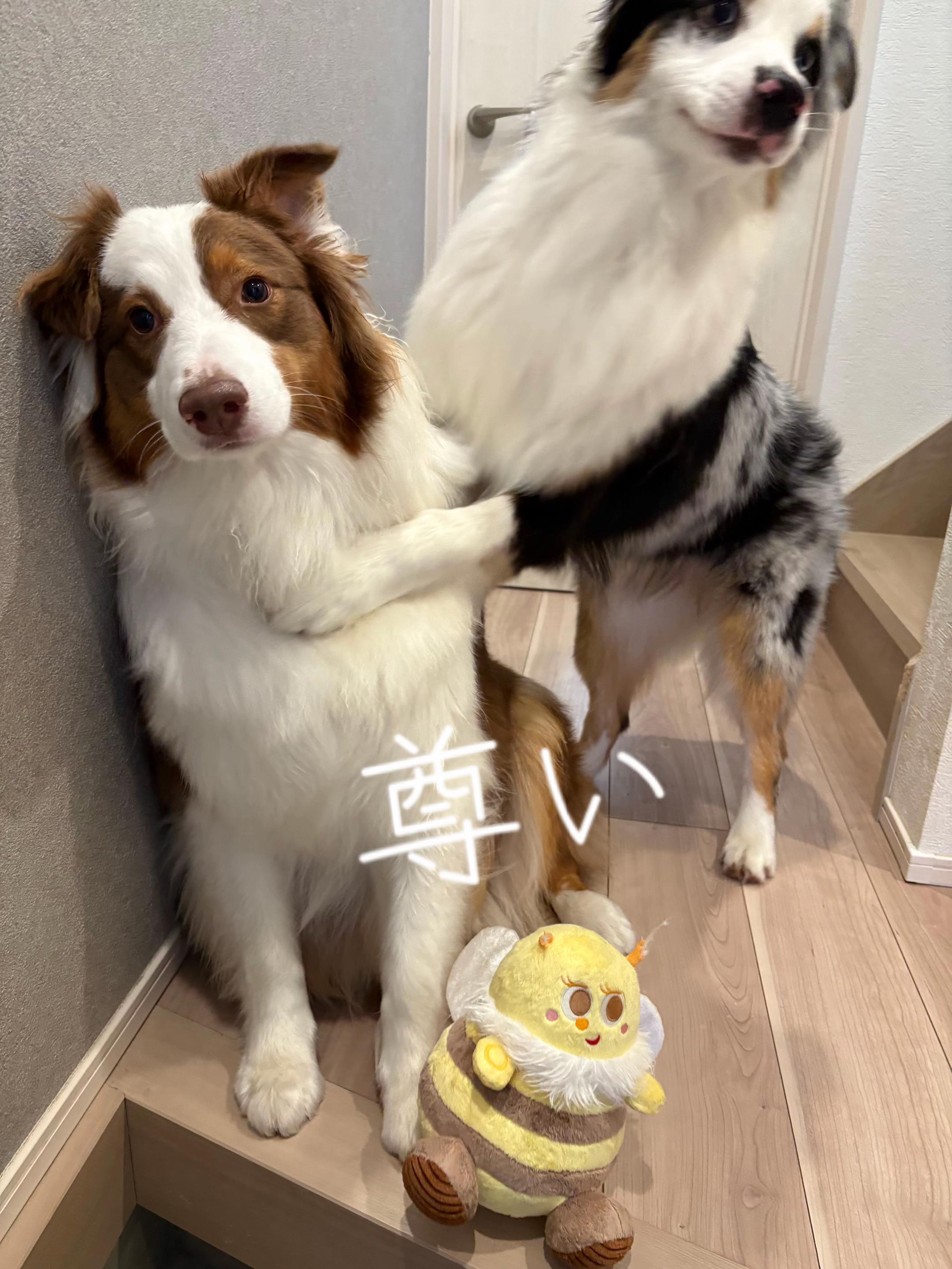 @サン&タマ