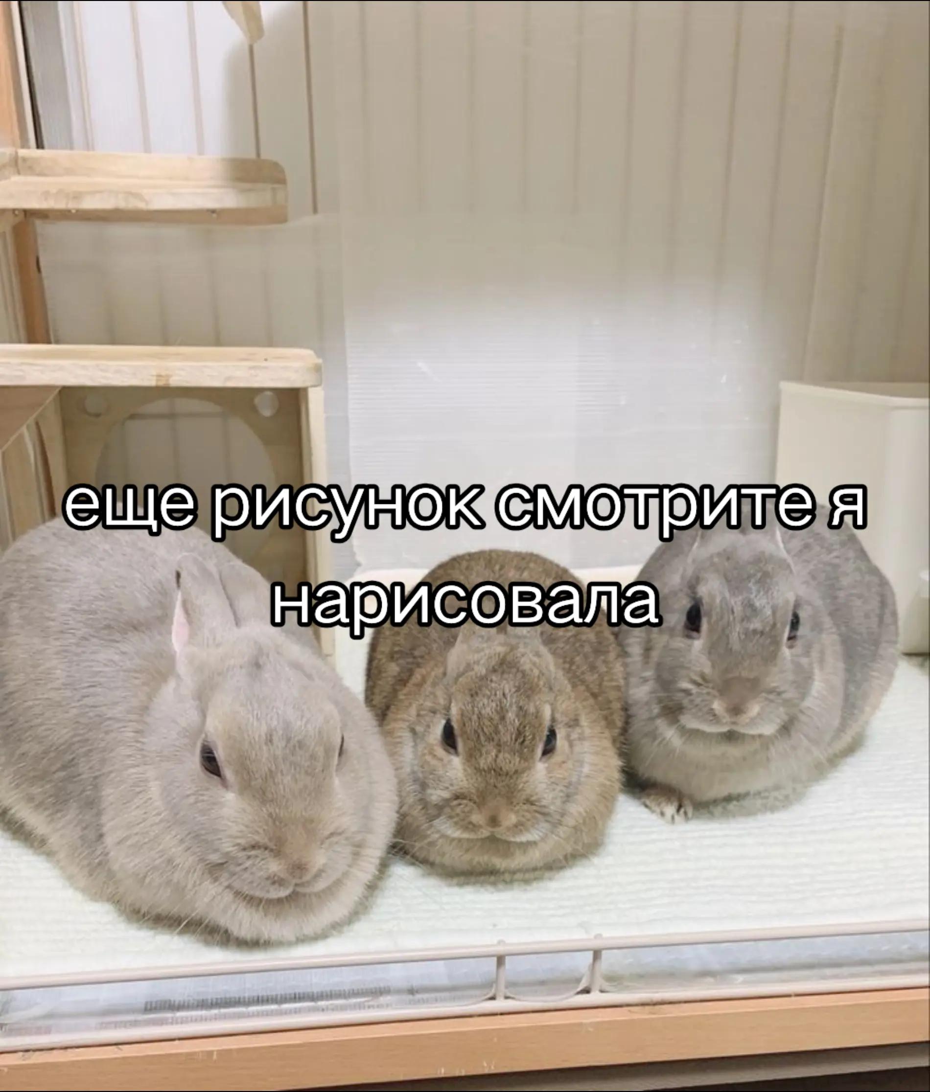 @KANON