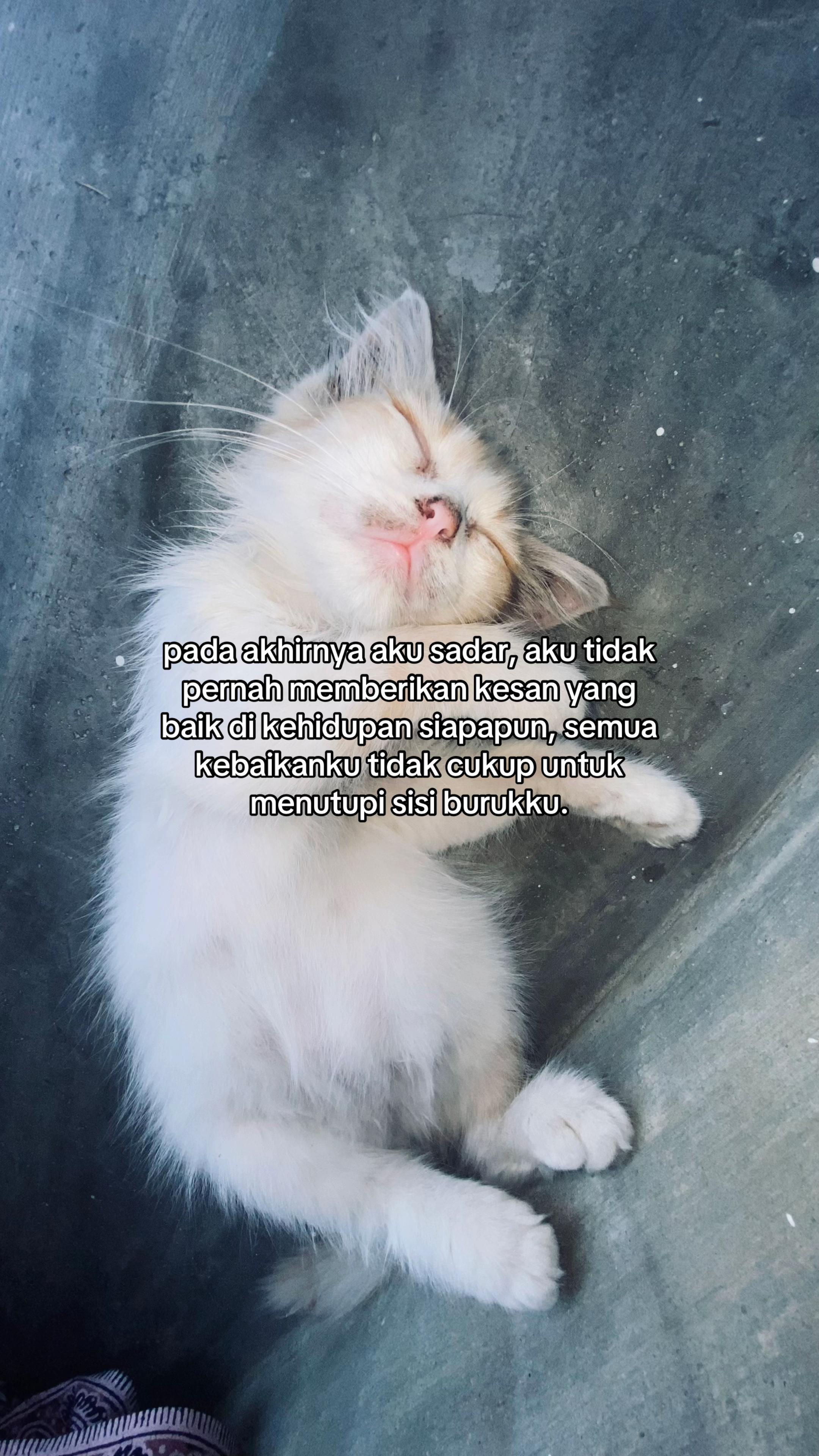 @ᴛᴇɴᴛᴀɴɢ ʜᴀᴛɪ