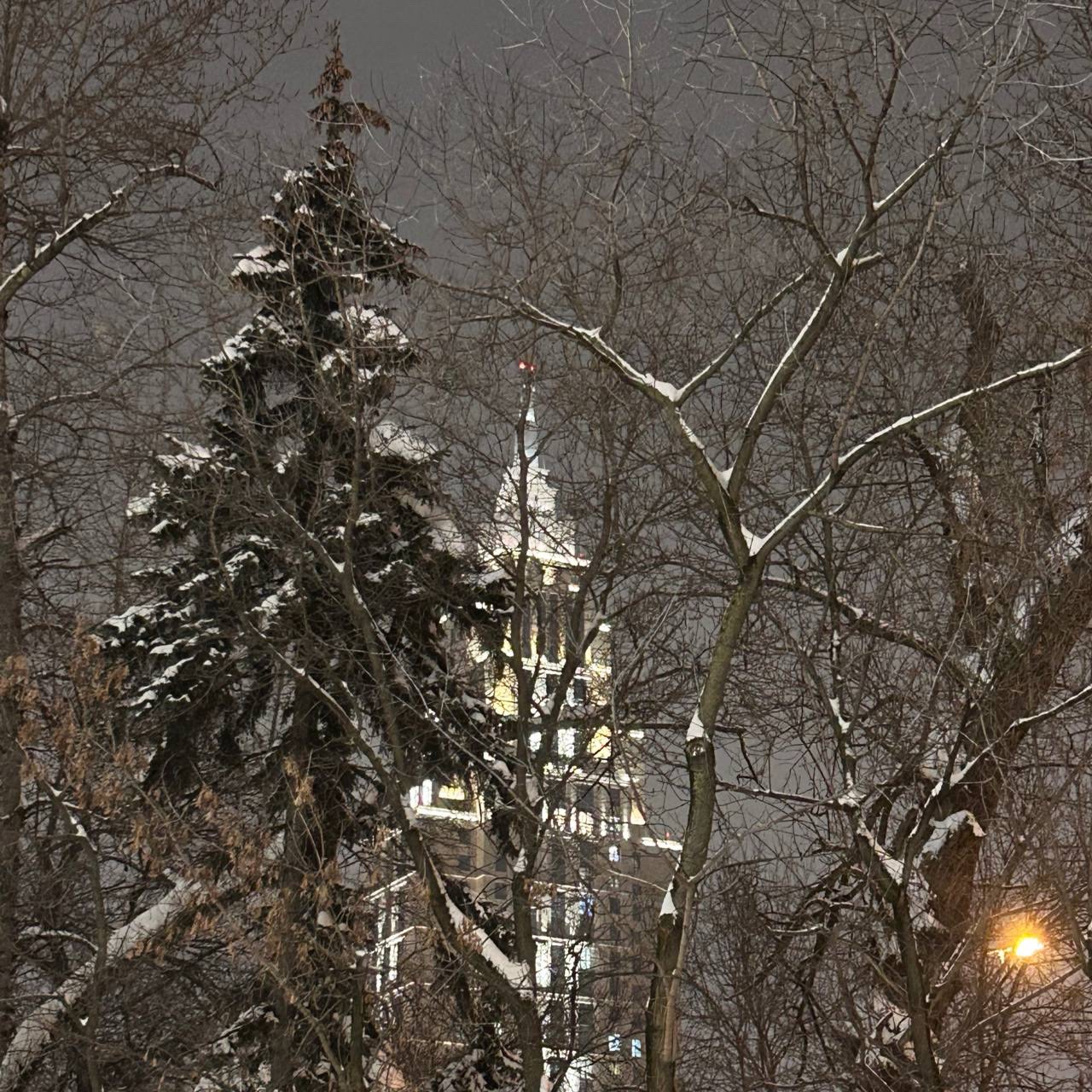 @Чья-то мамка