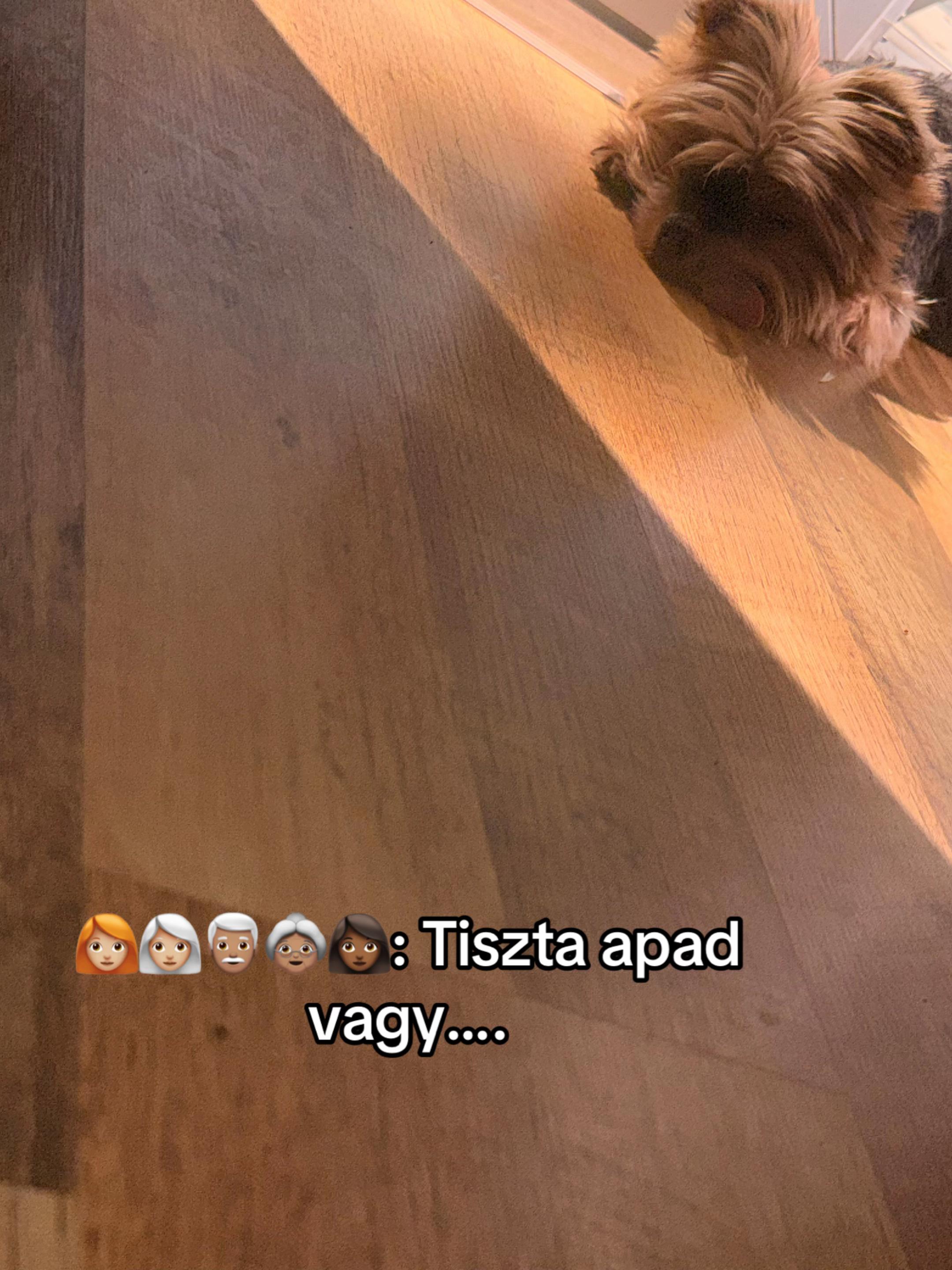 @zsani
