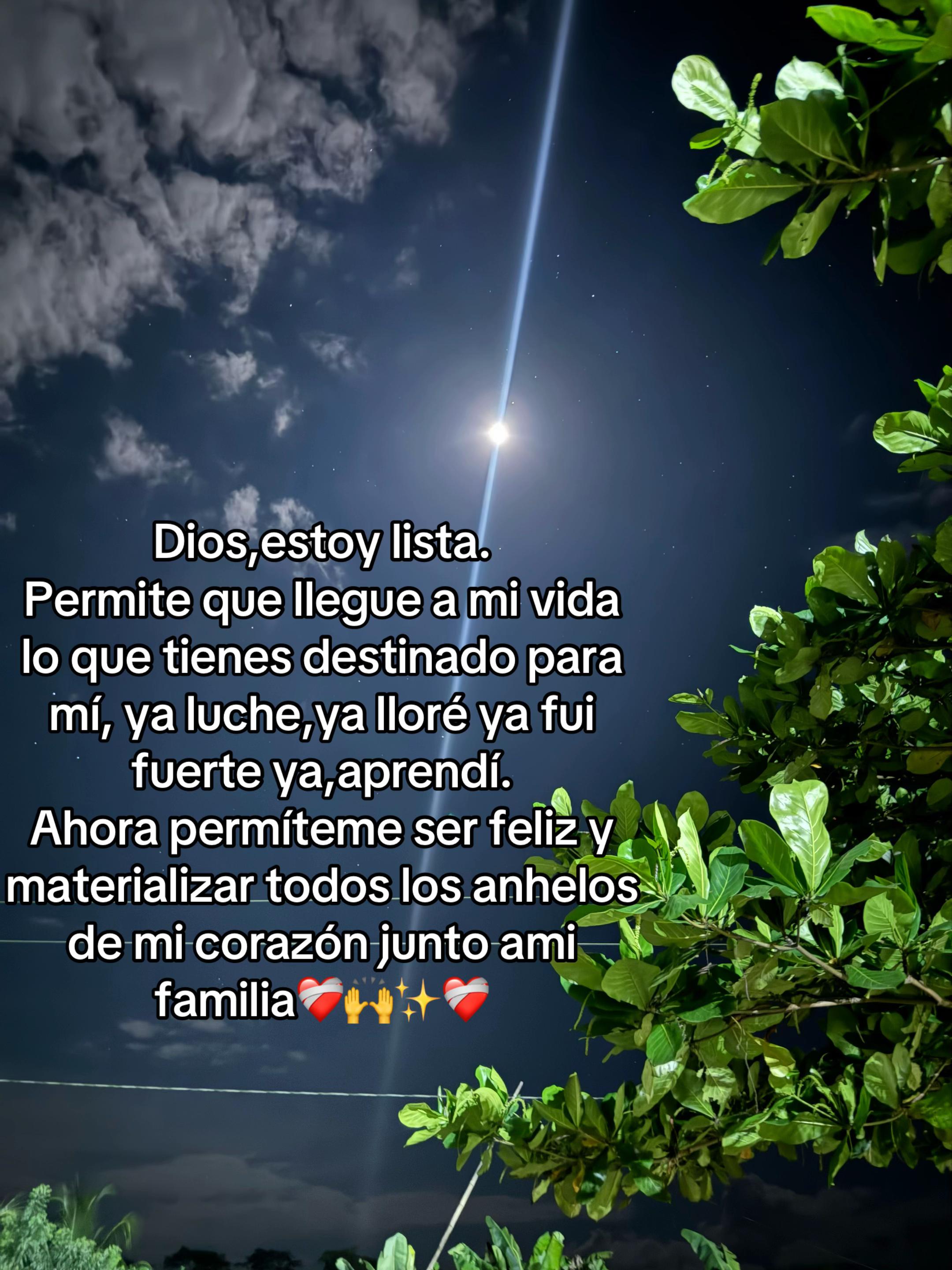 @claudiarojas140