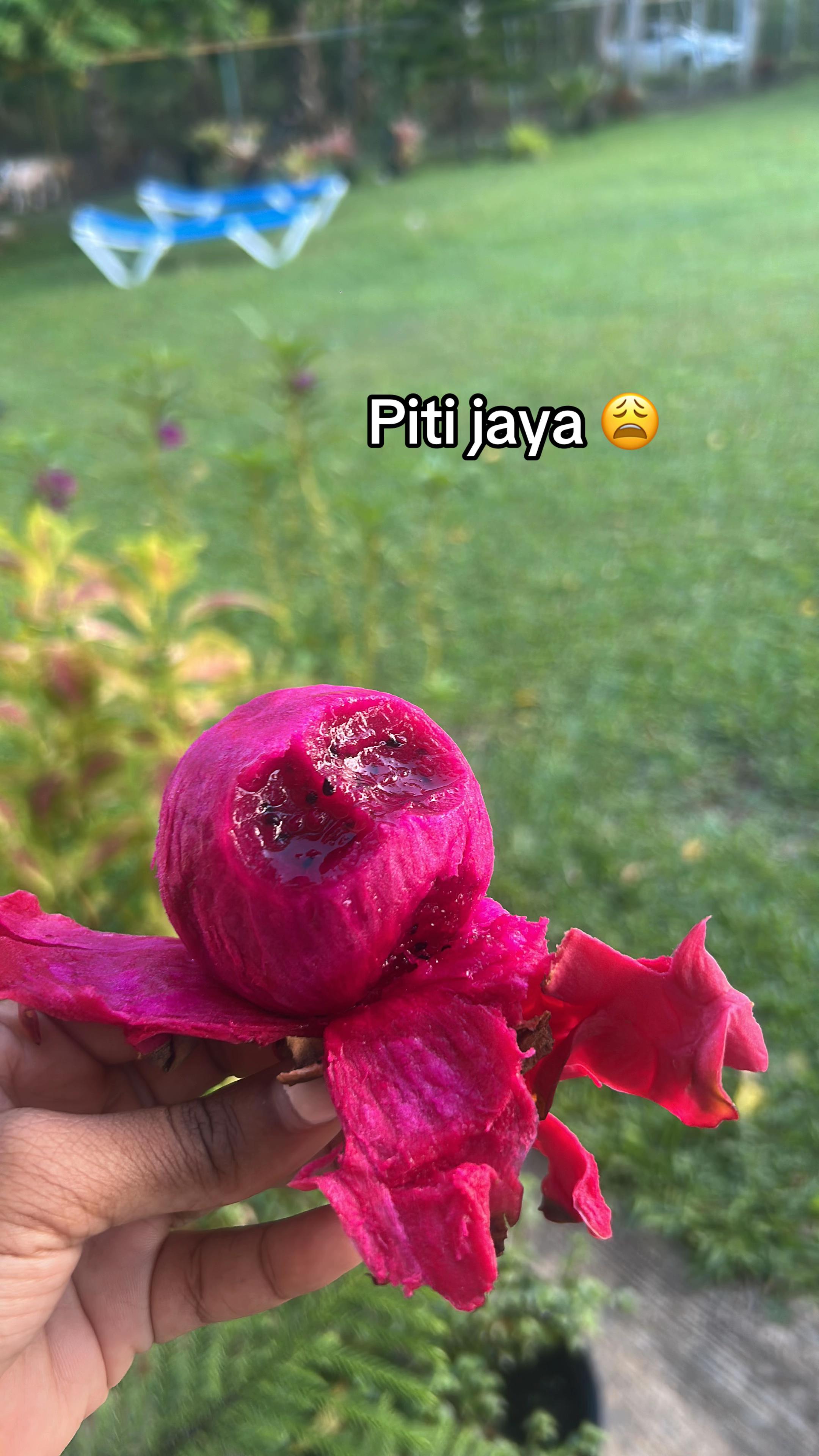 @yeeeei 😙