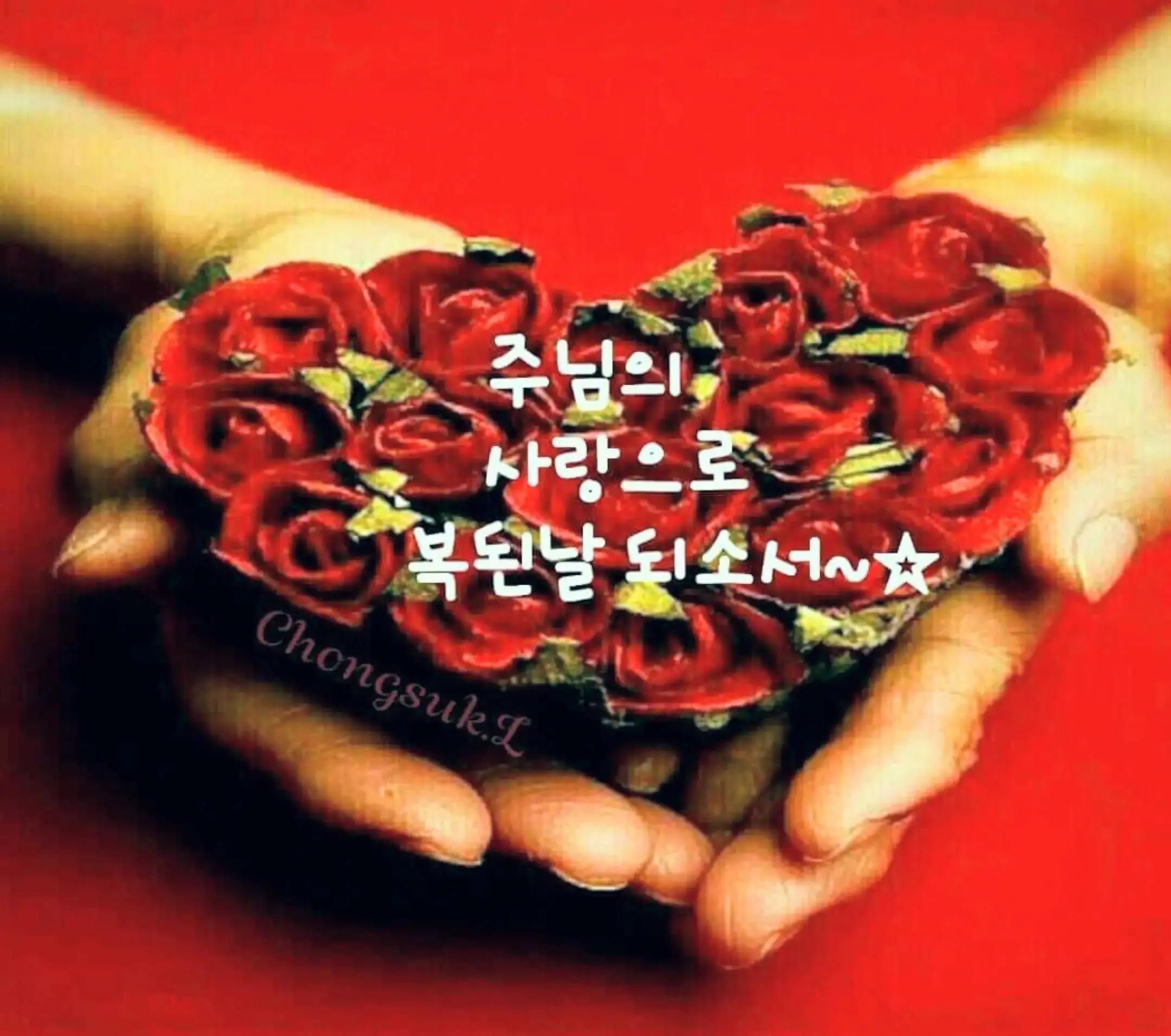 @미미네집으로