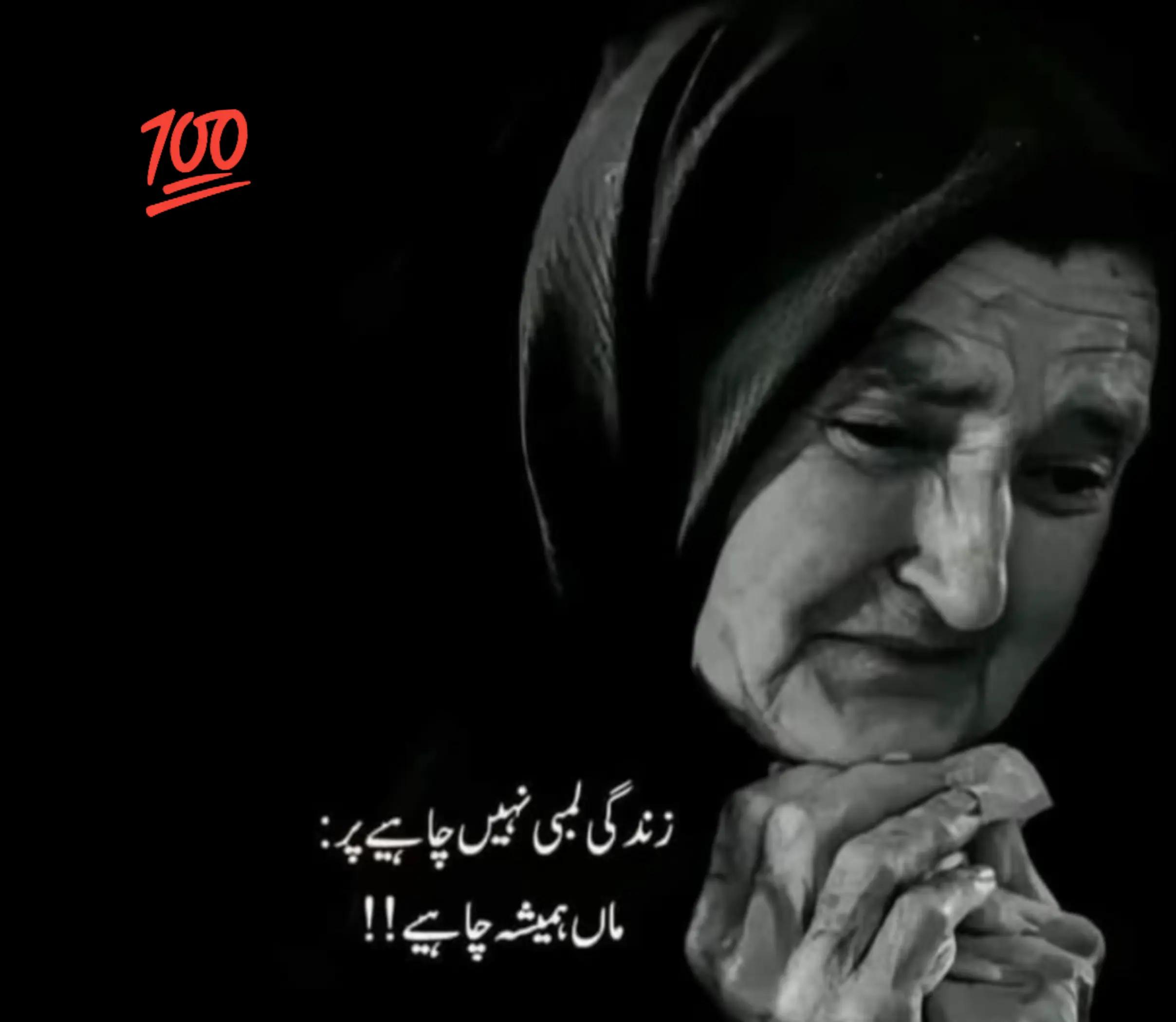 @_✨میاں ثاقب شفیق✨_