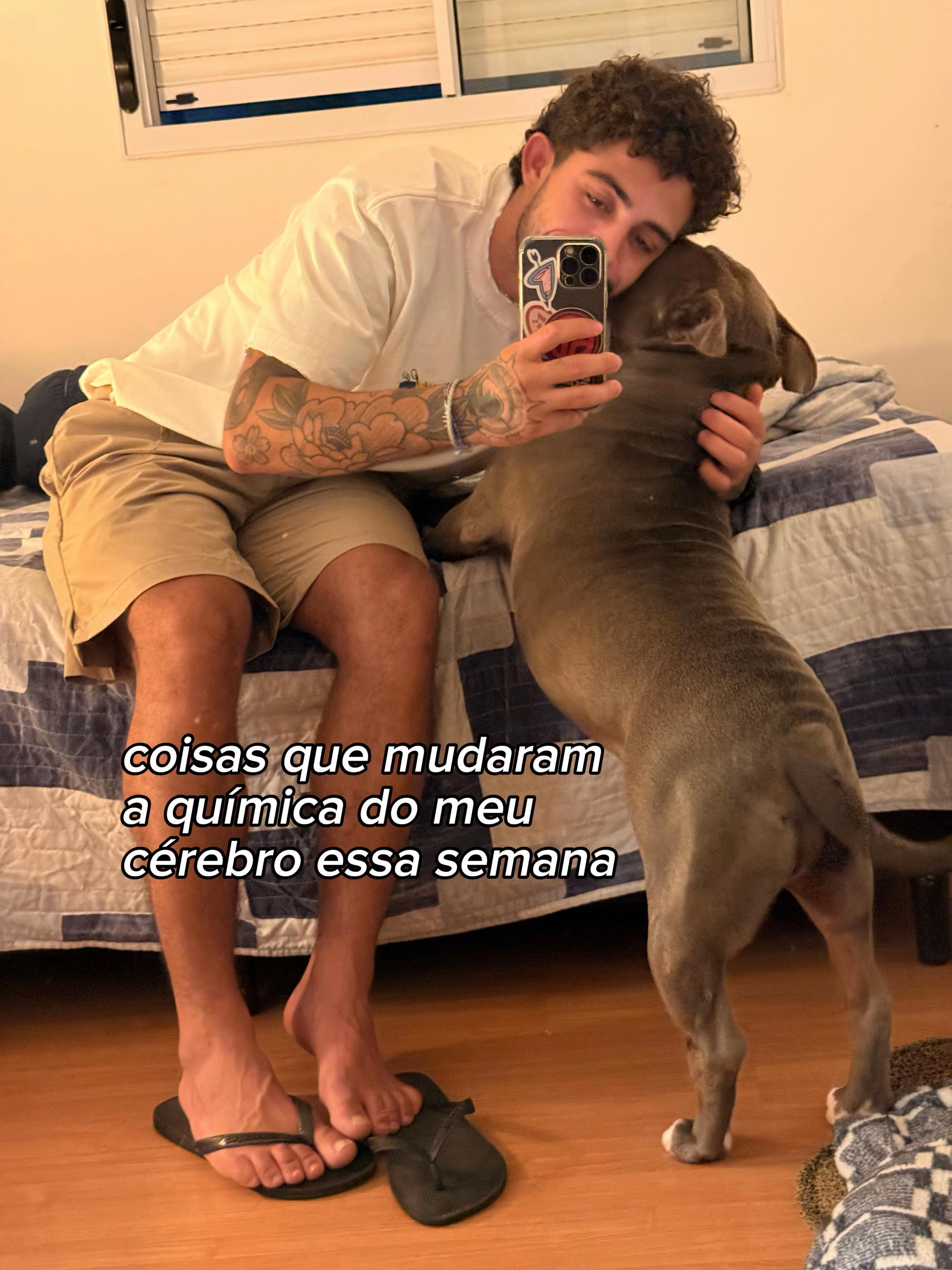 @Pedro Magalhães