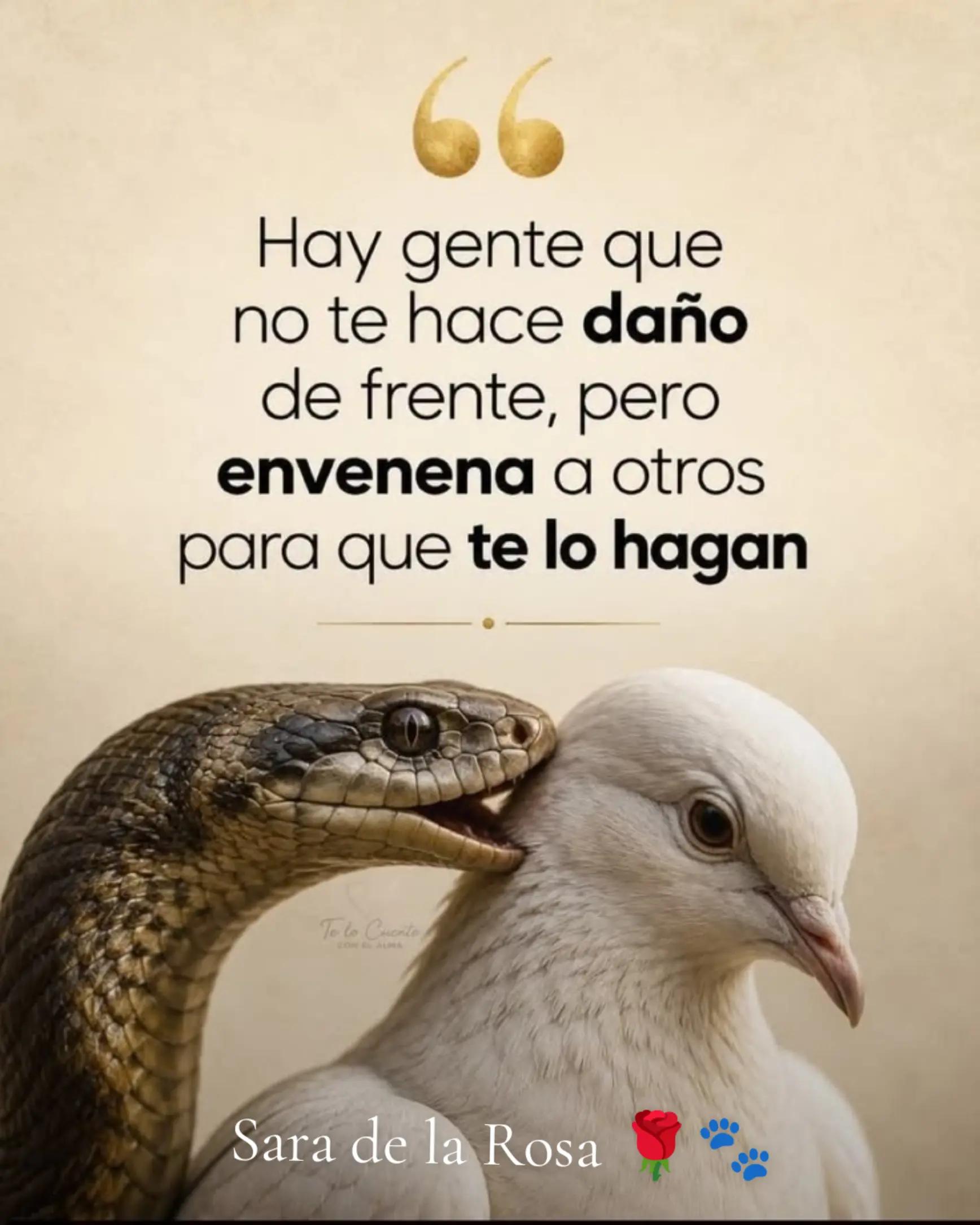@Chaparrita ☺️❤️🧡💛🩵💙💜2025