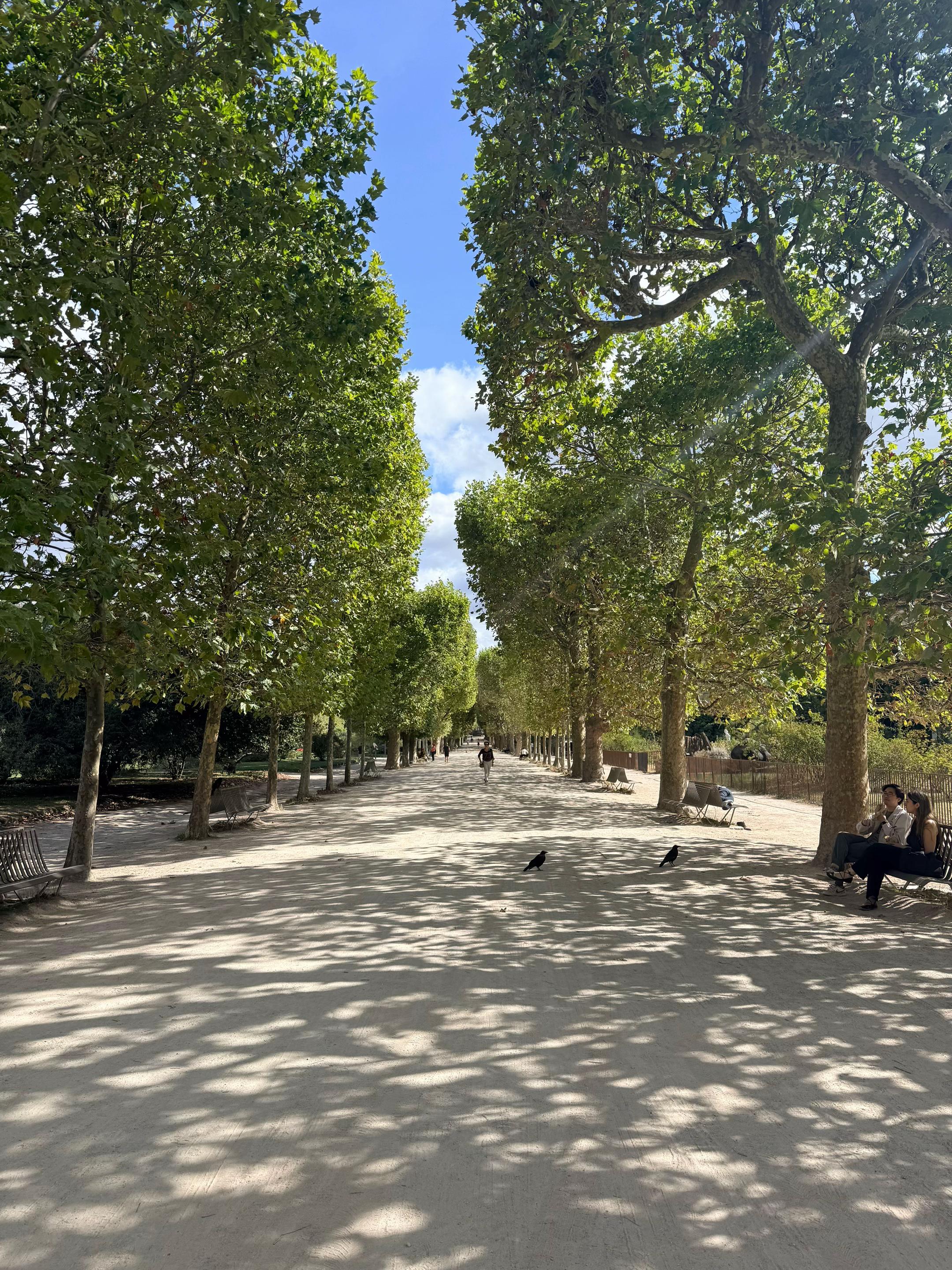 @Việt Anh Paris 🇲🇫🇻🇳