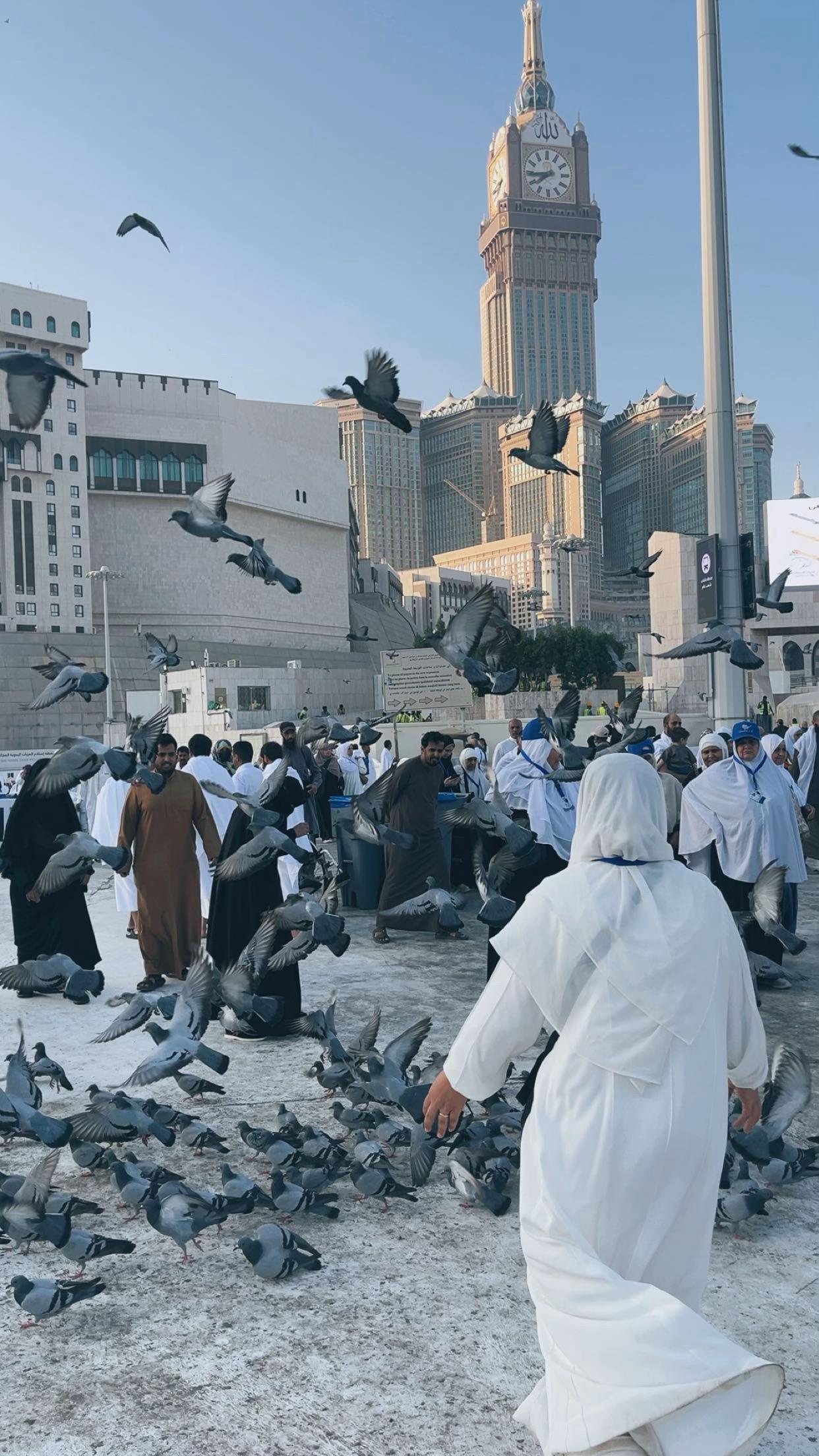 @qasim Al-Ansari
