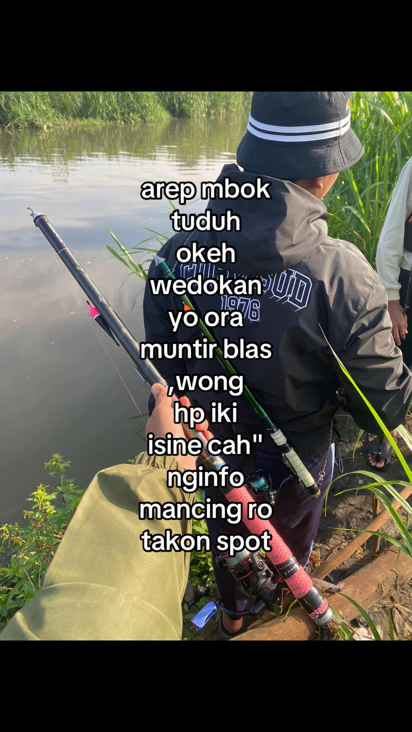 @alip