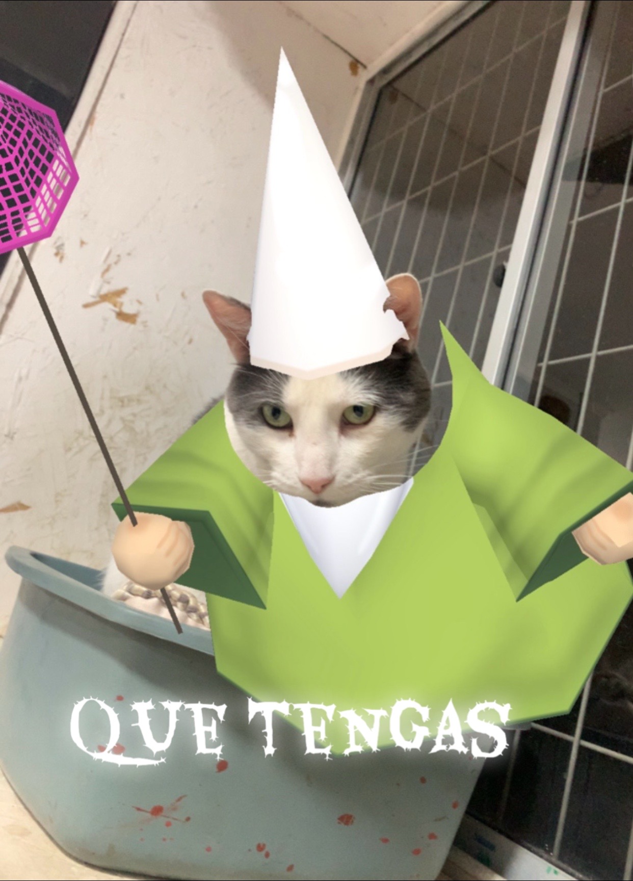 @Gatalinasmichis