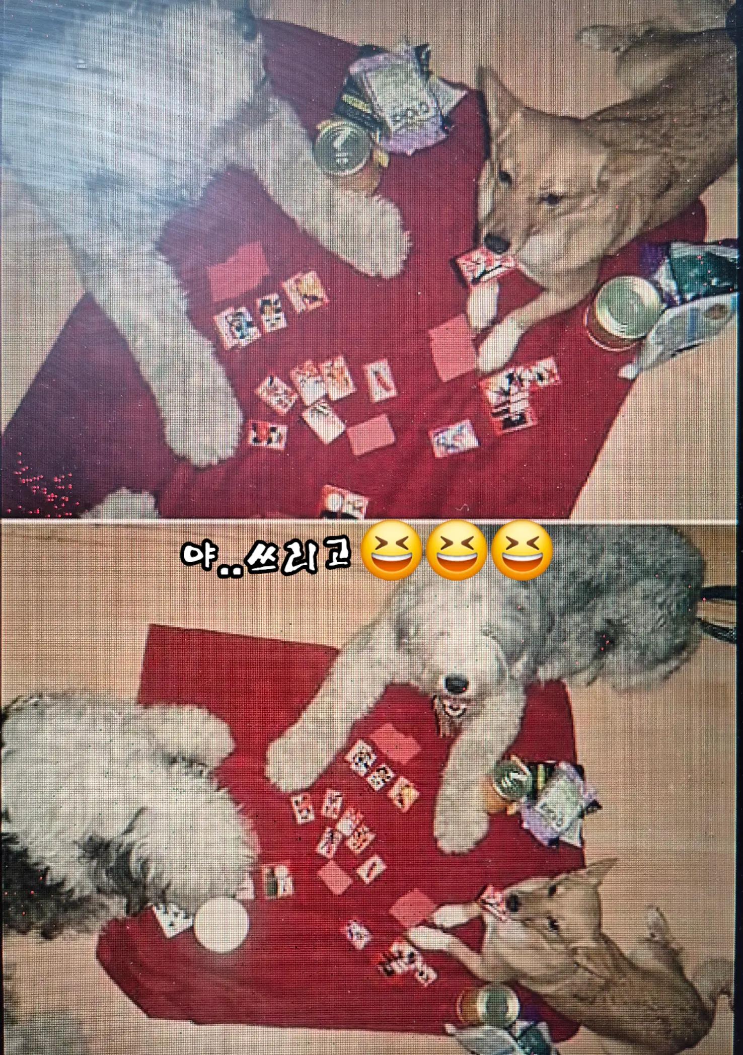@청성인