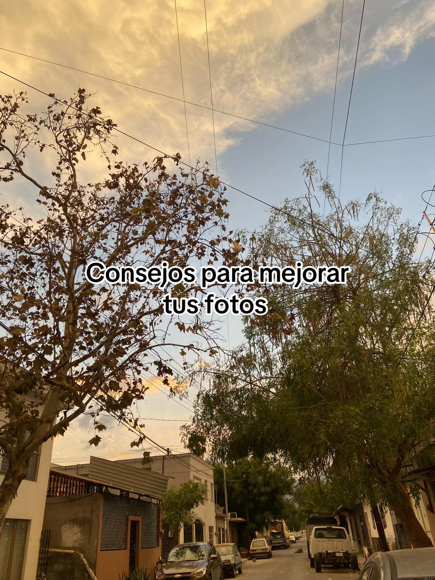 @Ariana💫