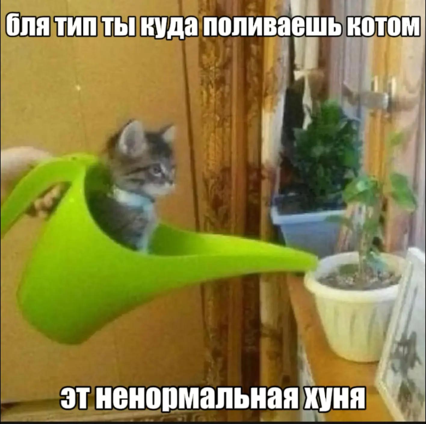 @mythware666
