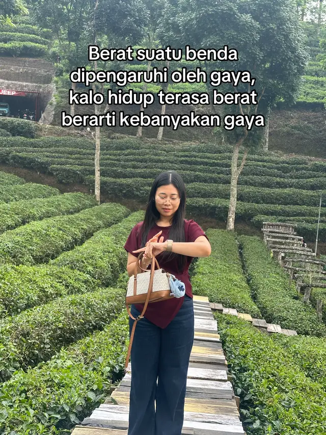 @linglin2703