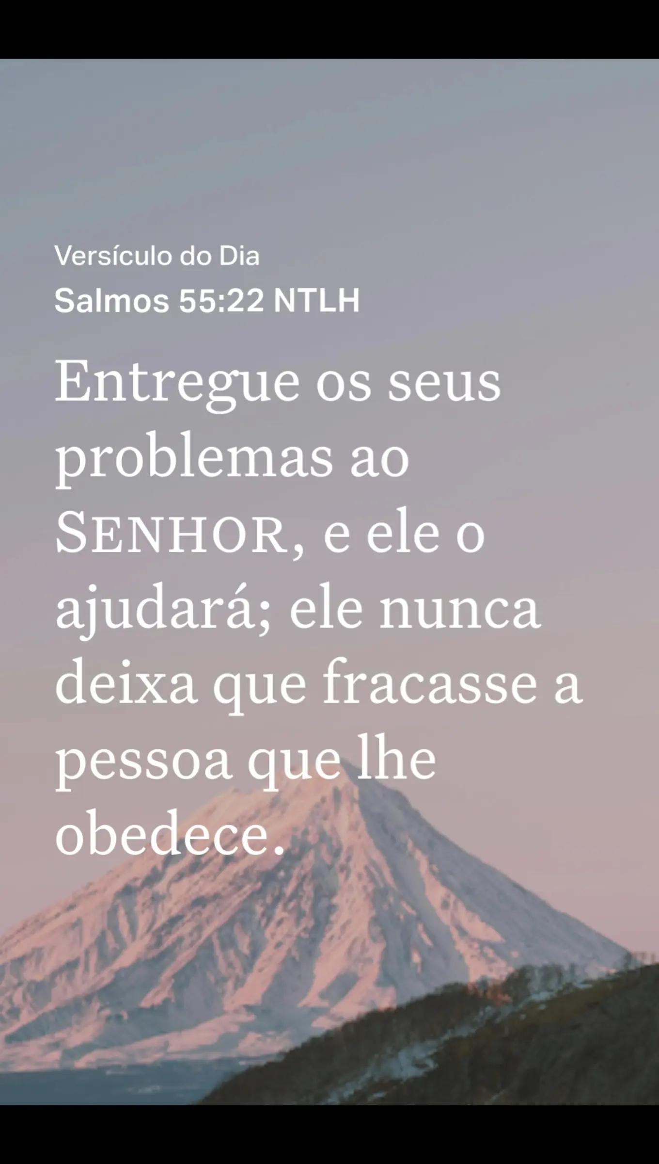 @danigodes