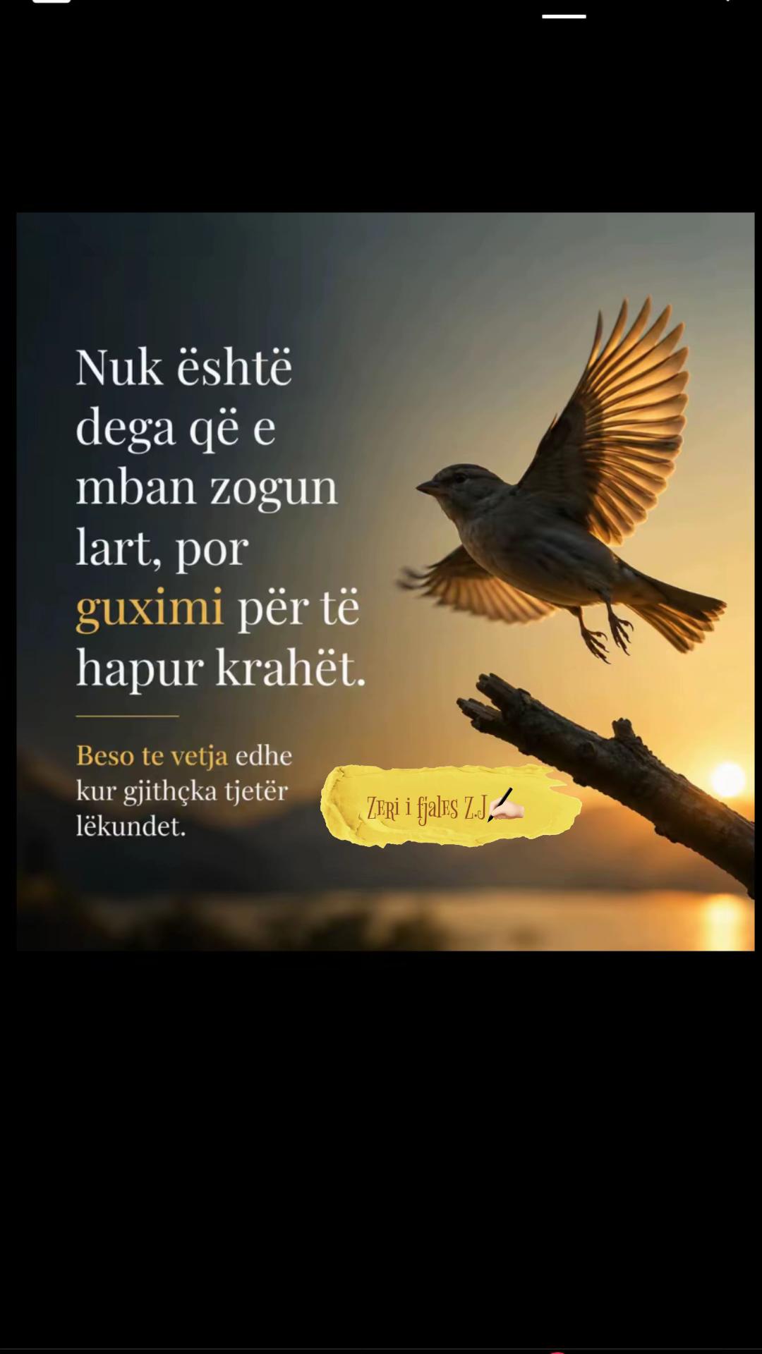 @Zeri i Fjales-Z.J