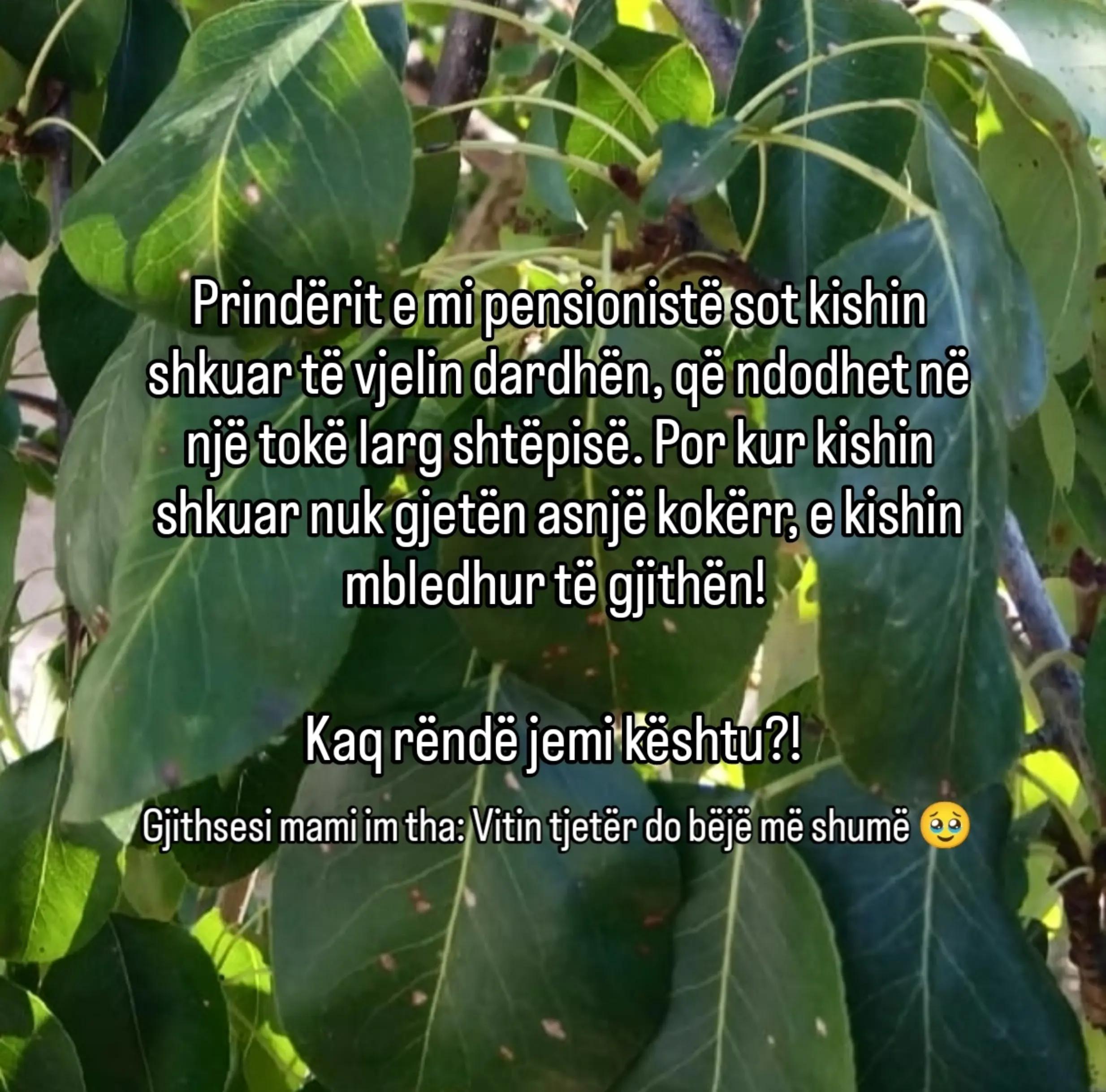 @Sofra__ime