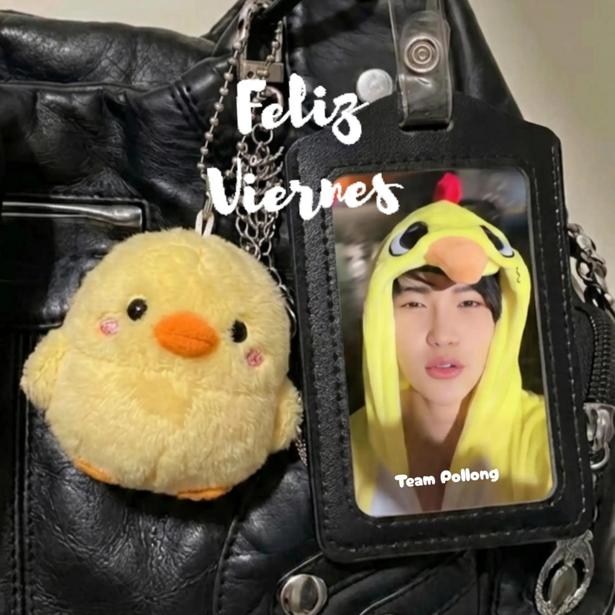 @TEAM POLLONG YUN OFICIAL🐥🍗💙