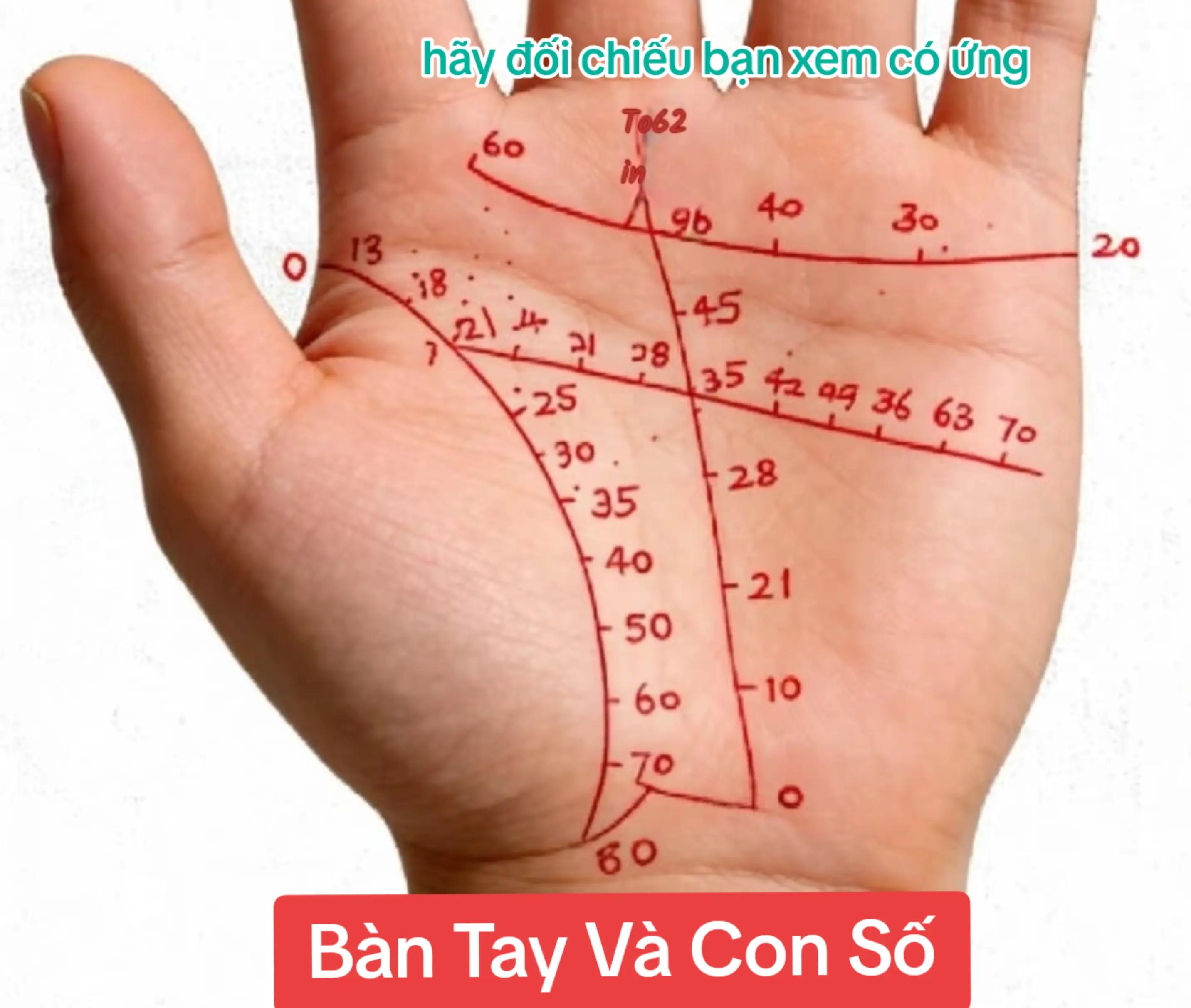 @Nh&acirc;n Tướng Sửa M&igrave;nh (Đỗ L&acirc;m)