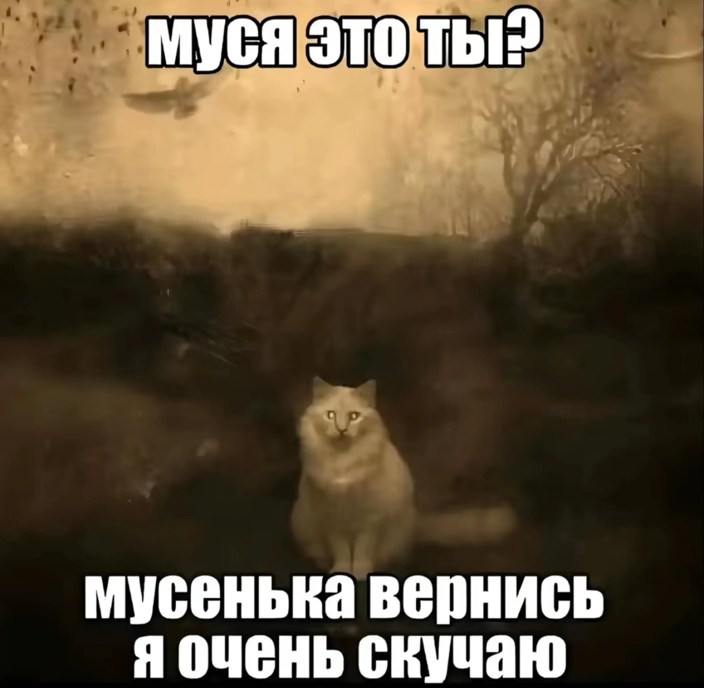 @неразличимая сущность