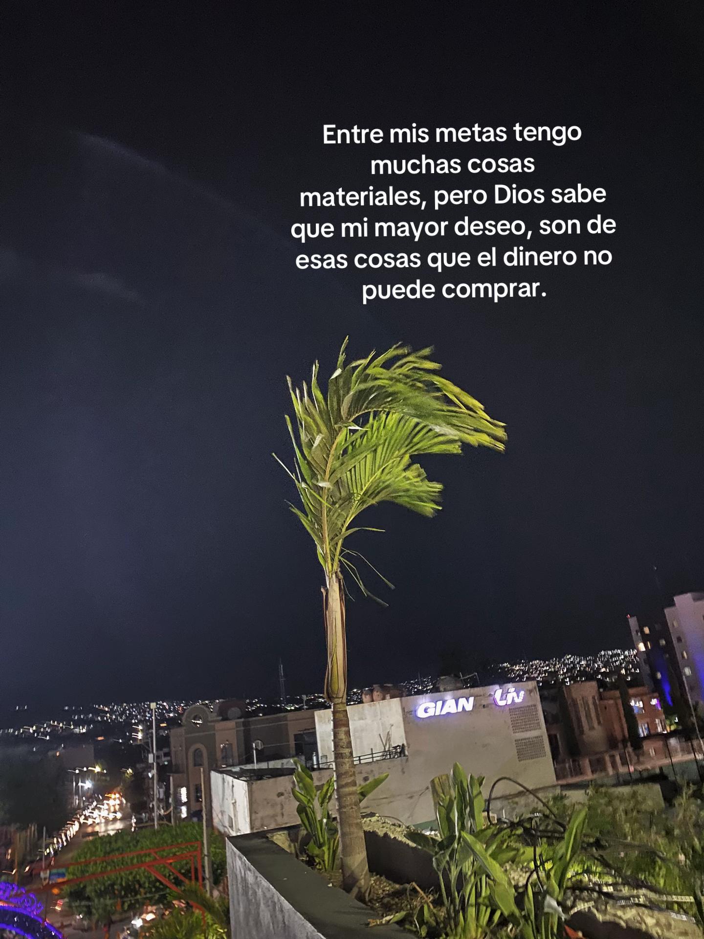 @𝐌𝐢𝐜𝐡𝐞𝐥𝐥𝐞 ٩(◕‿◕｡)۶