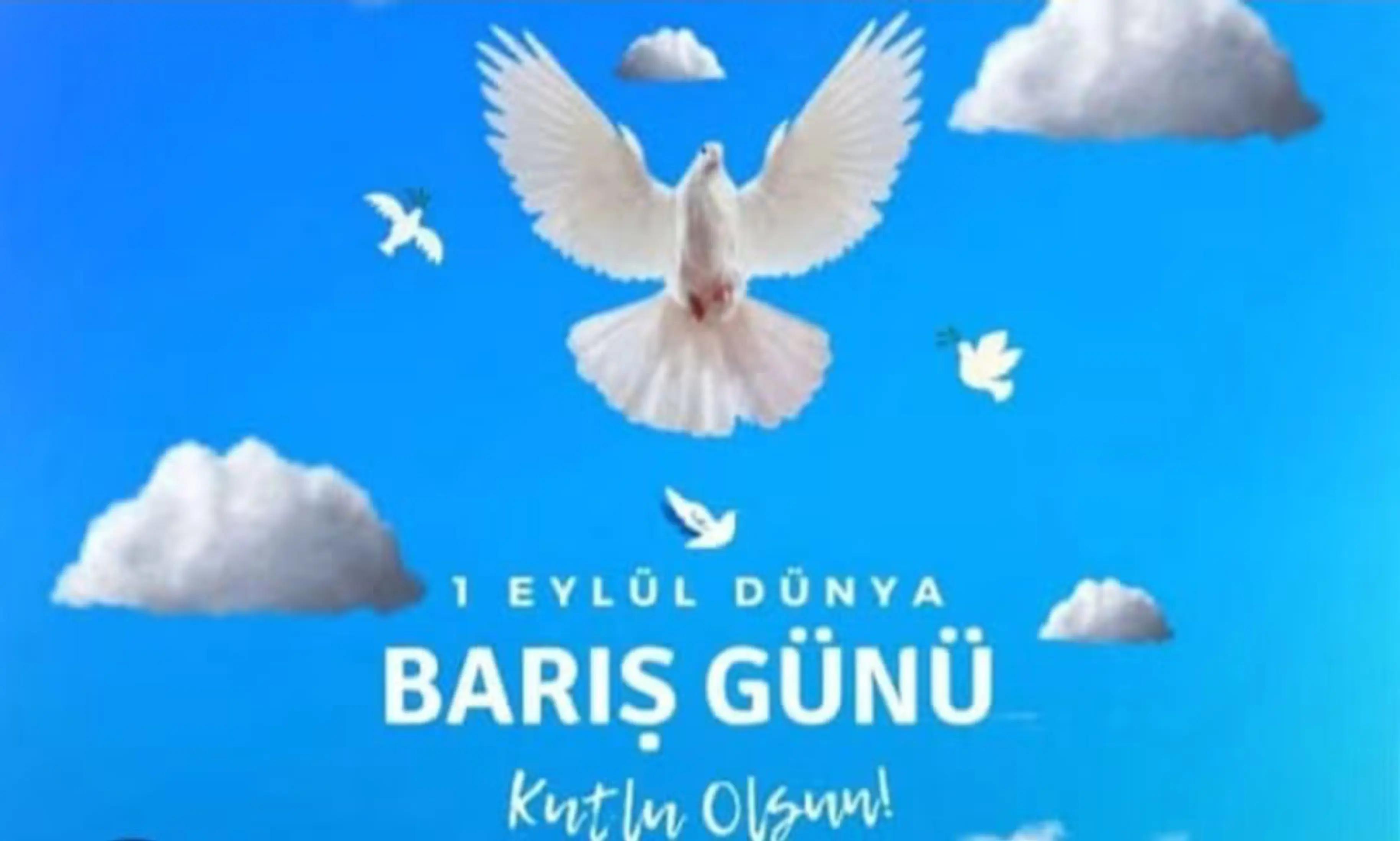 @Gamze Kumlu Program Sunucusu