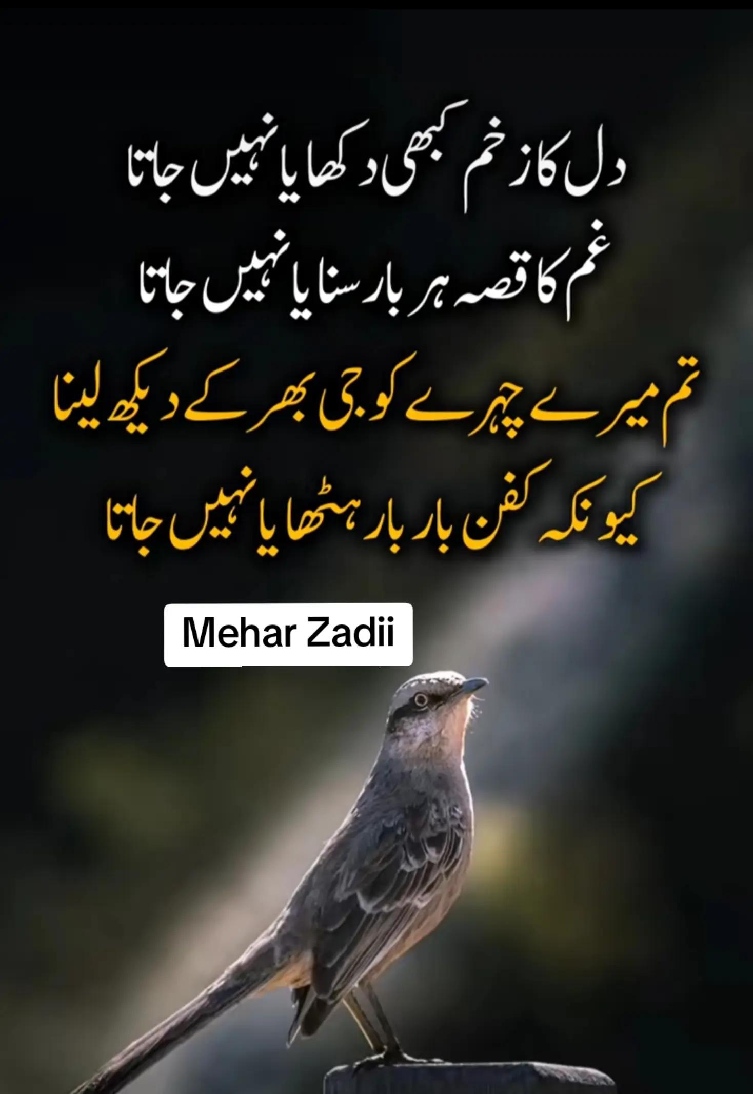 @Mehar Zadi 🖇️🤞🏻