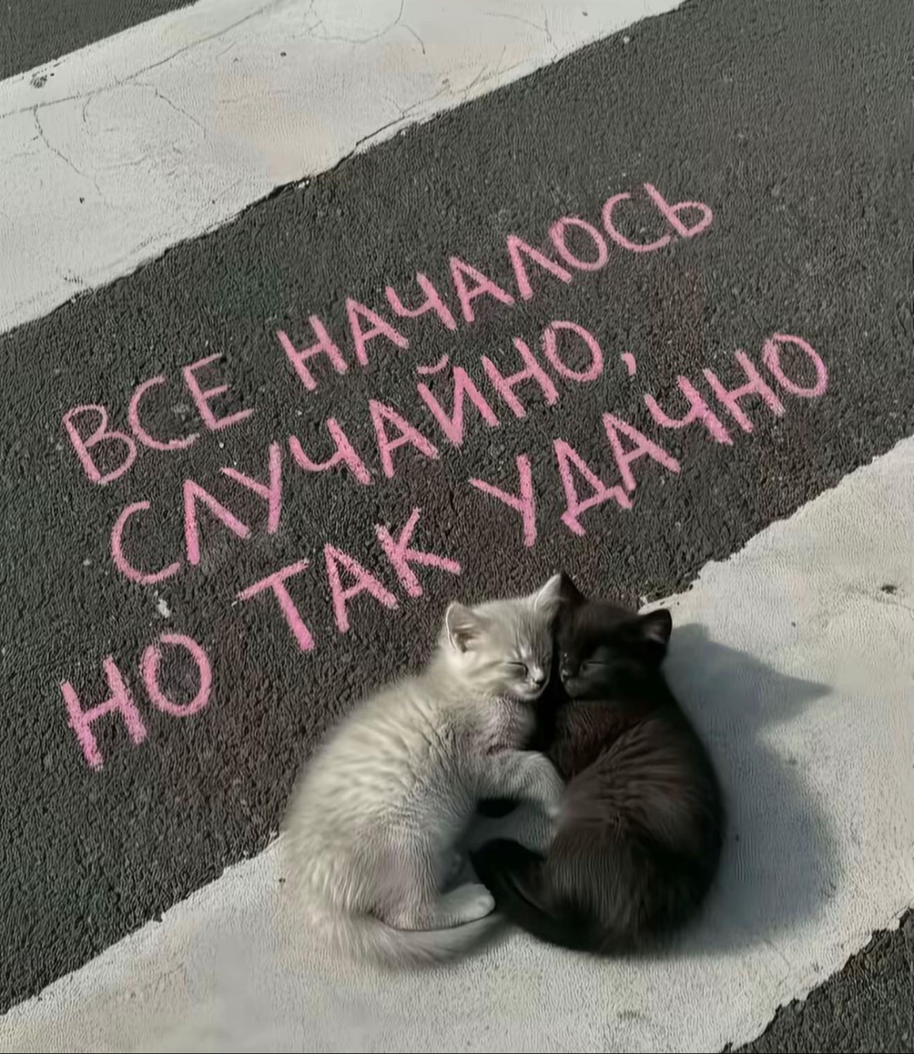 @никилд