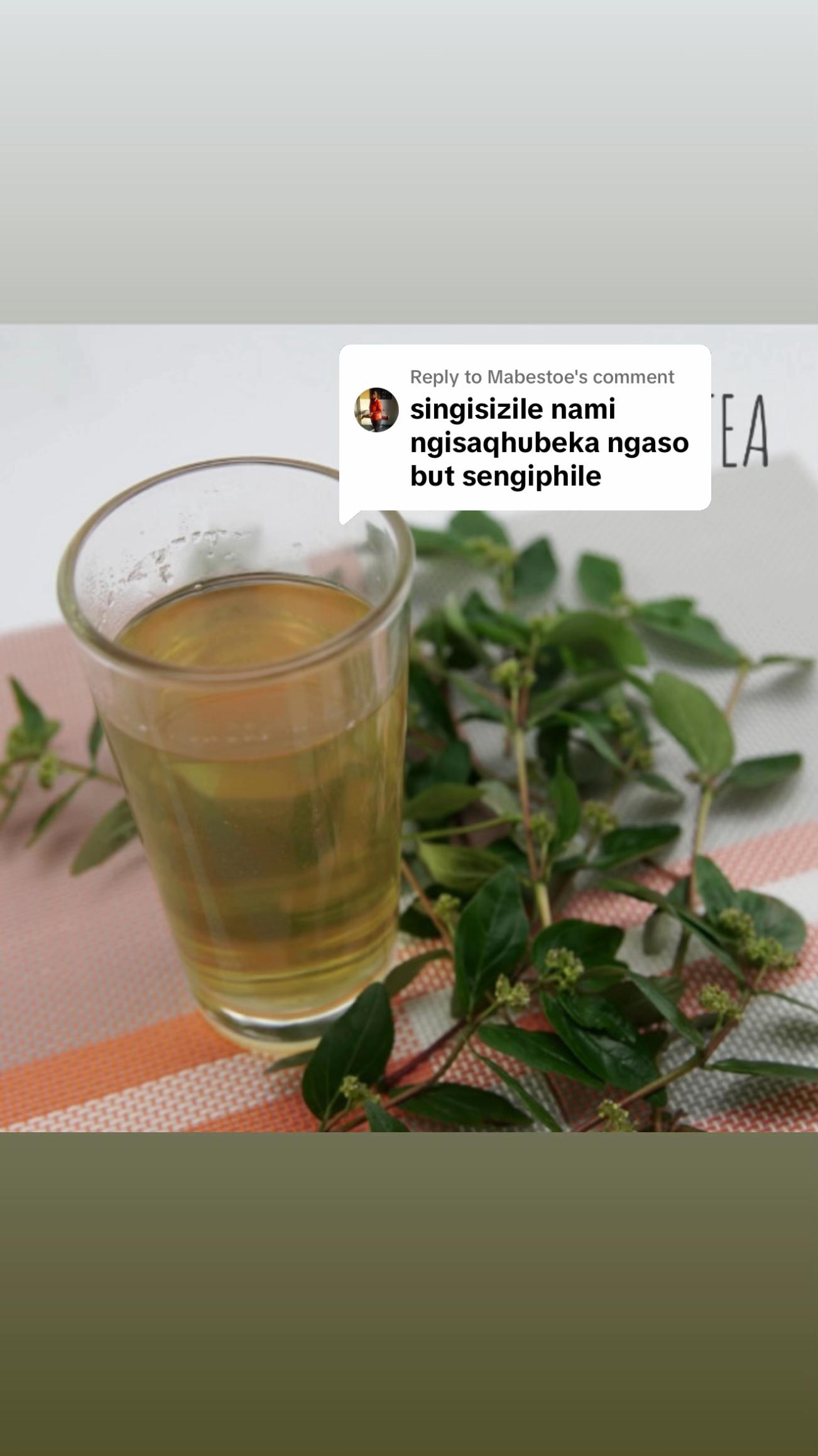 @Asthma-plant_herbalshop