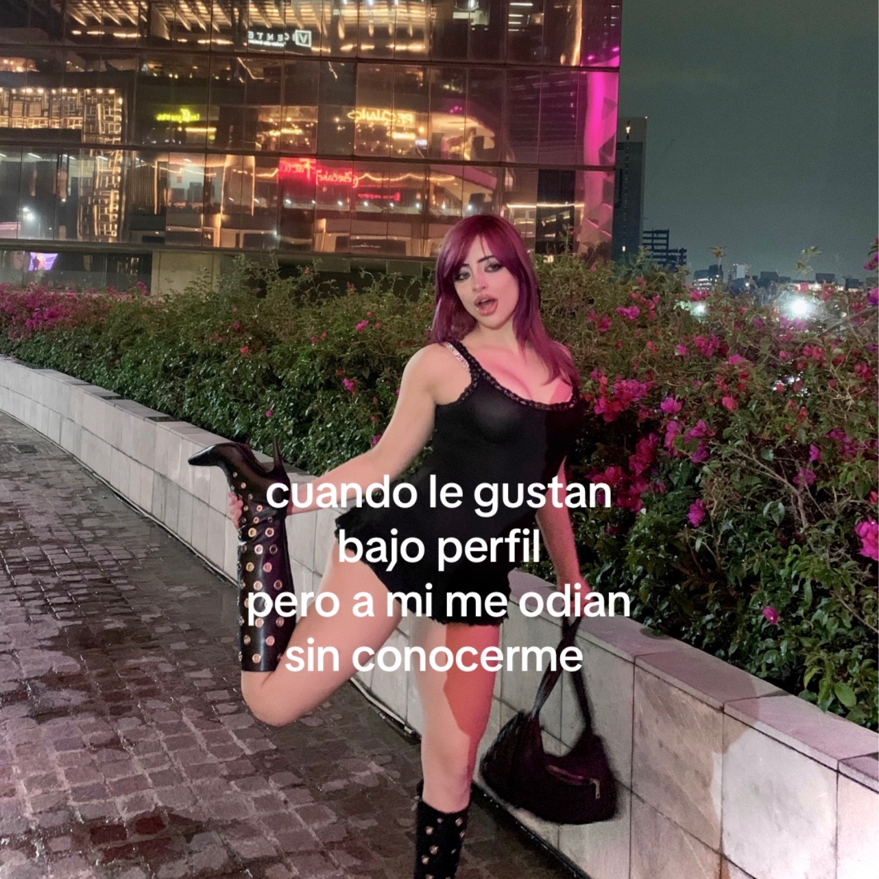@pandorita