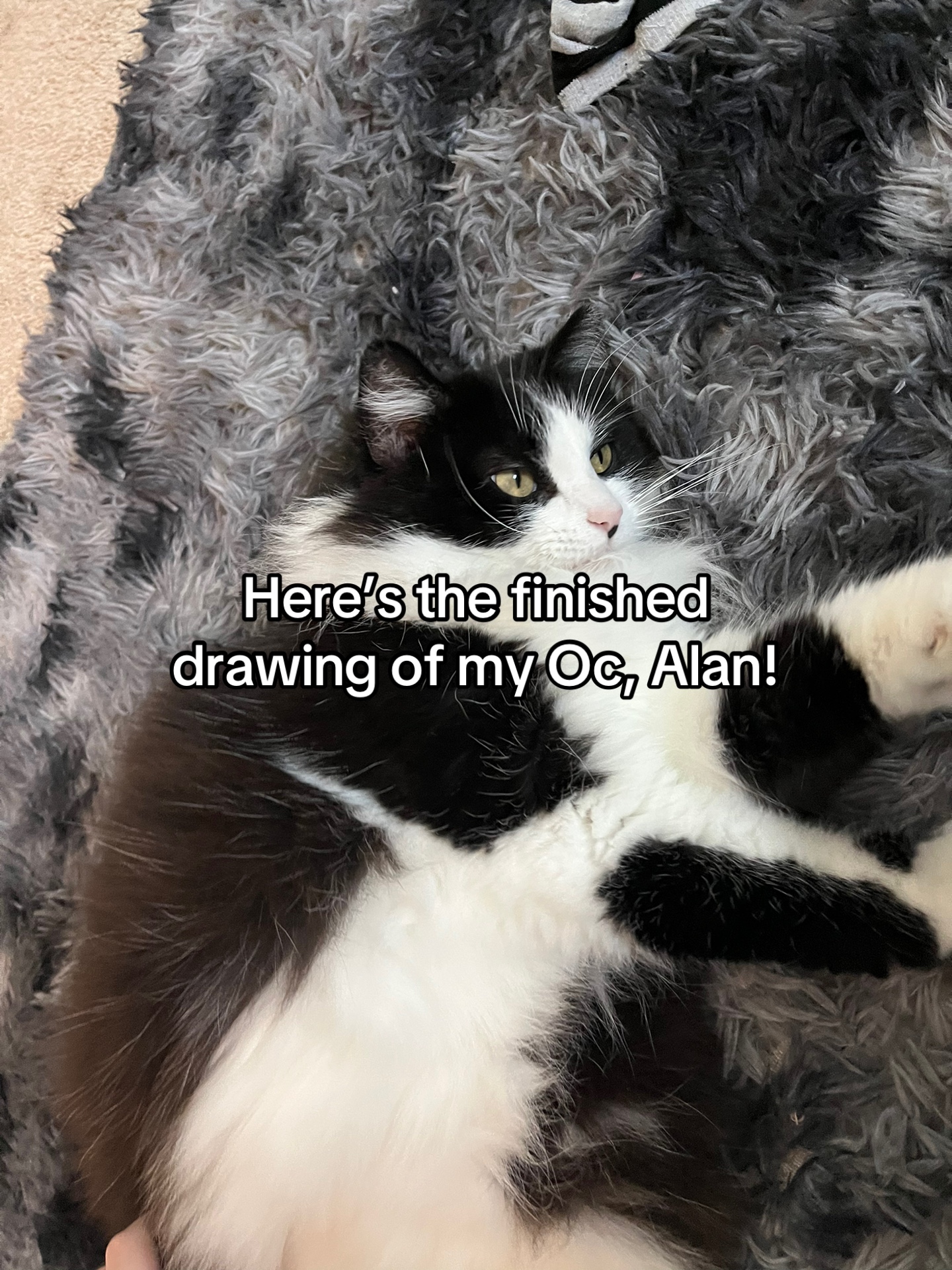 @Tiny..Ferret