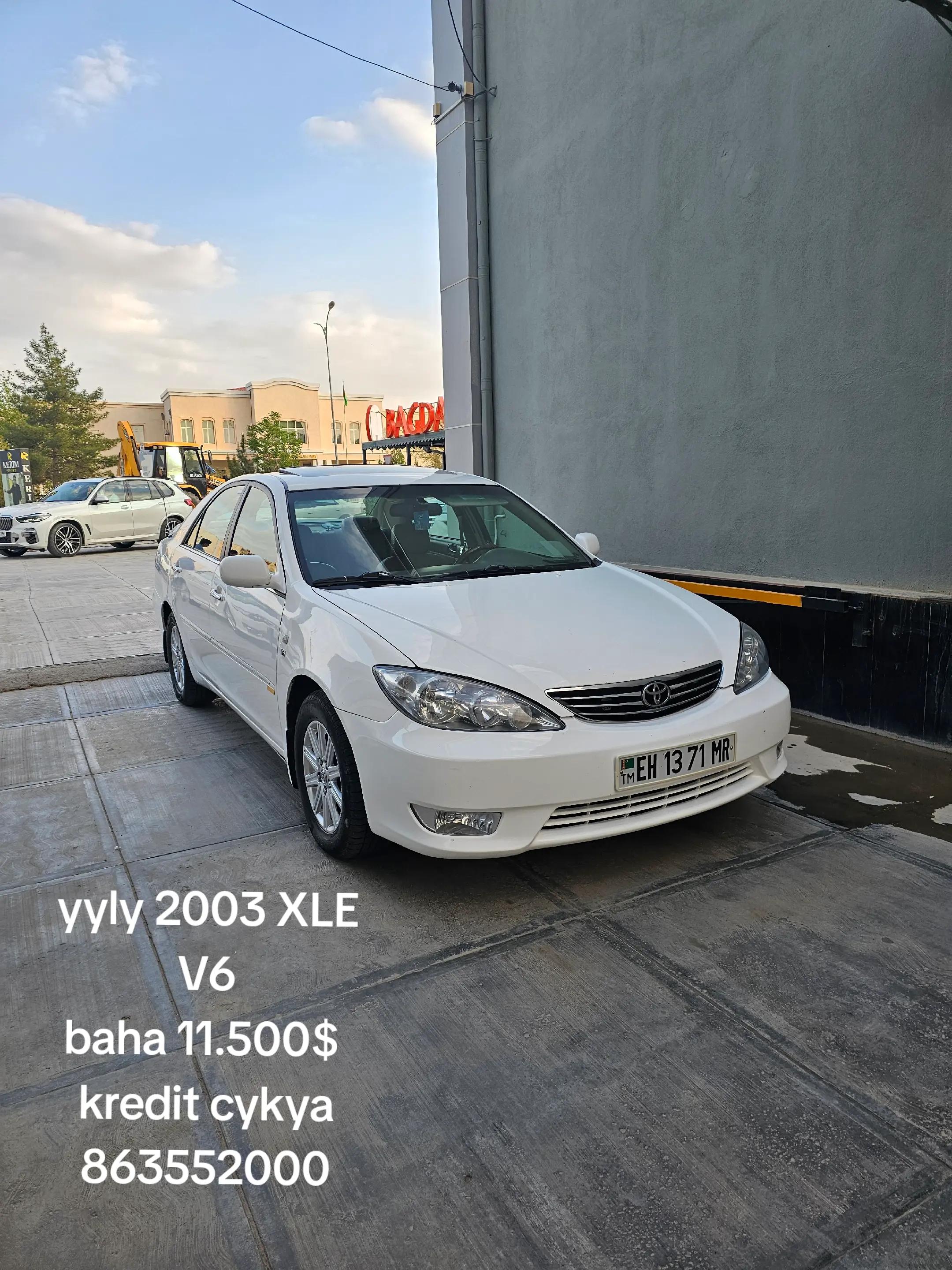 @Shapak Auto