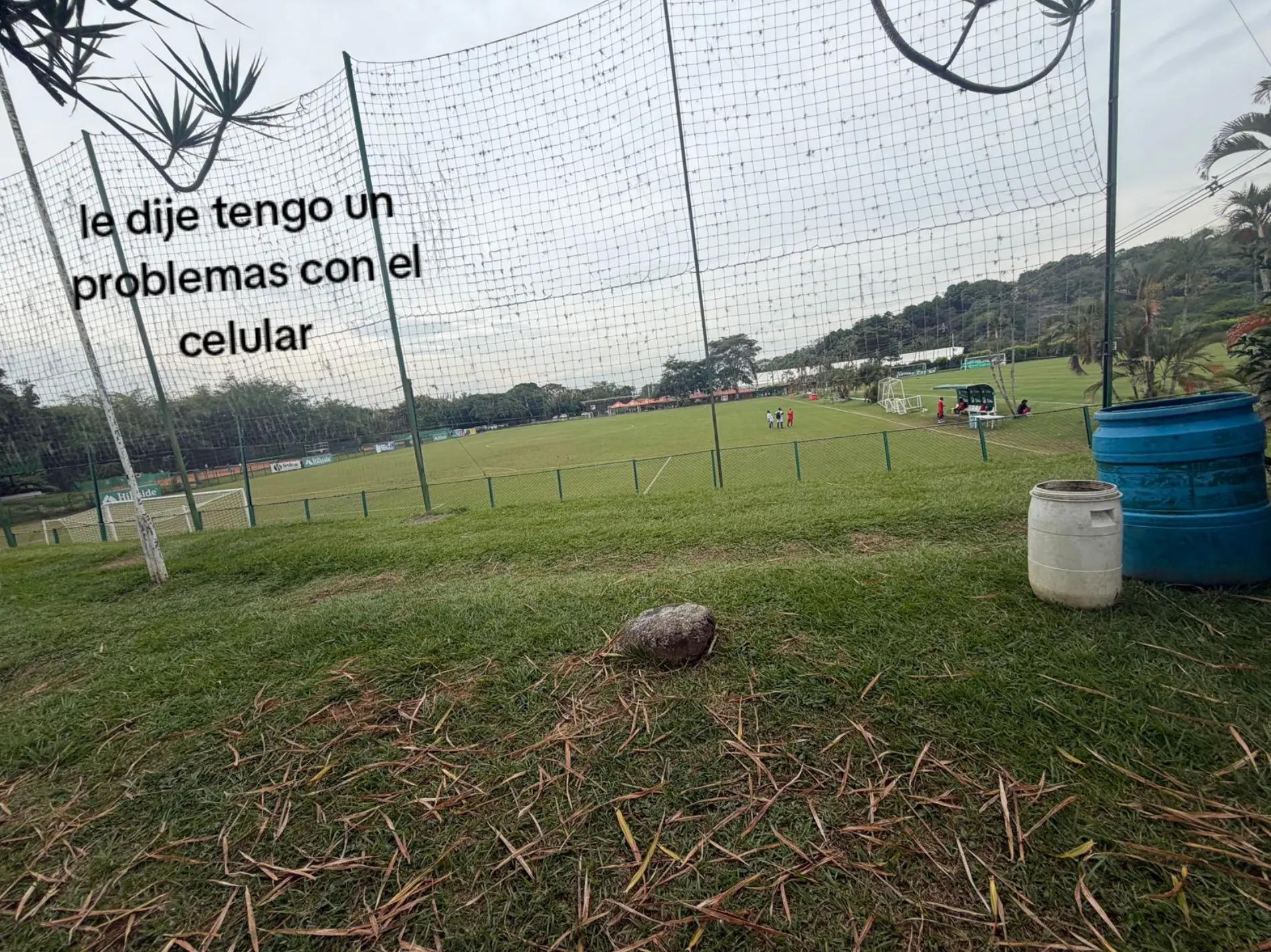 @Manuela