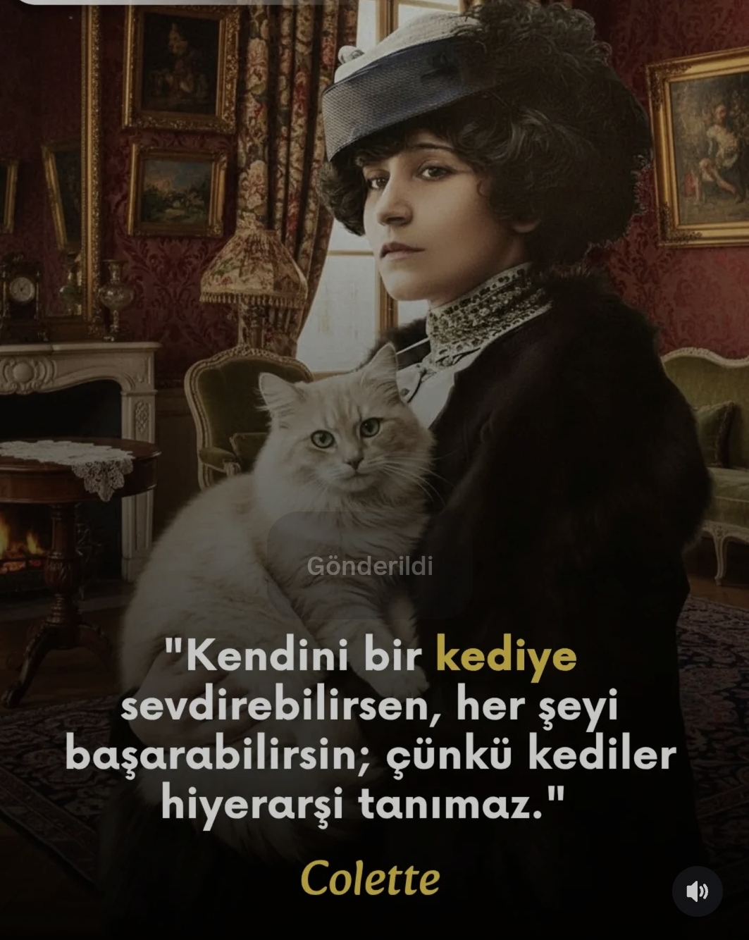 @HAYCAN MEDYA 🌐✔️