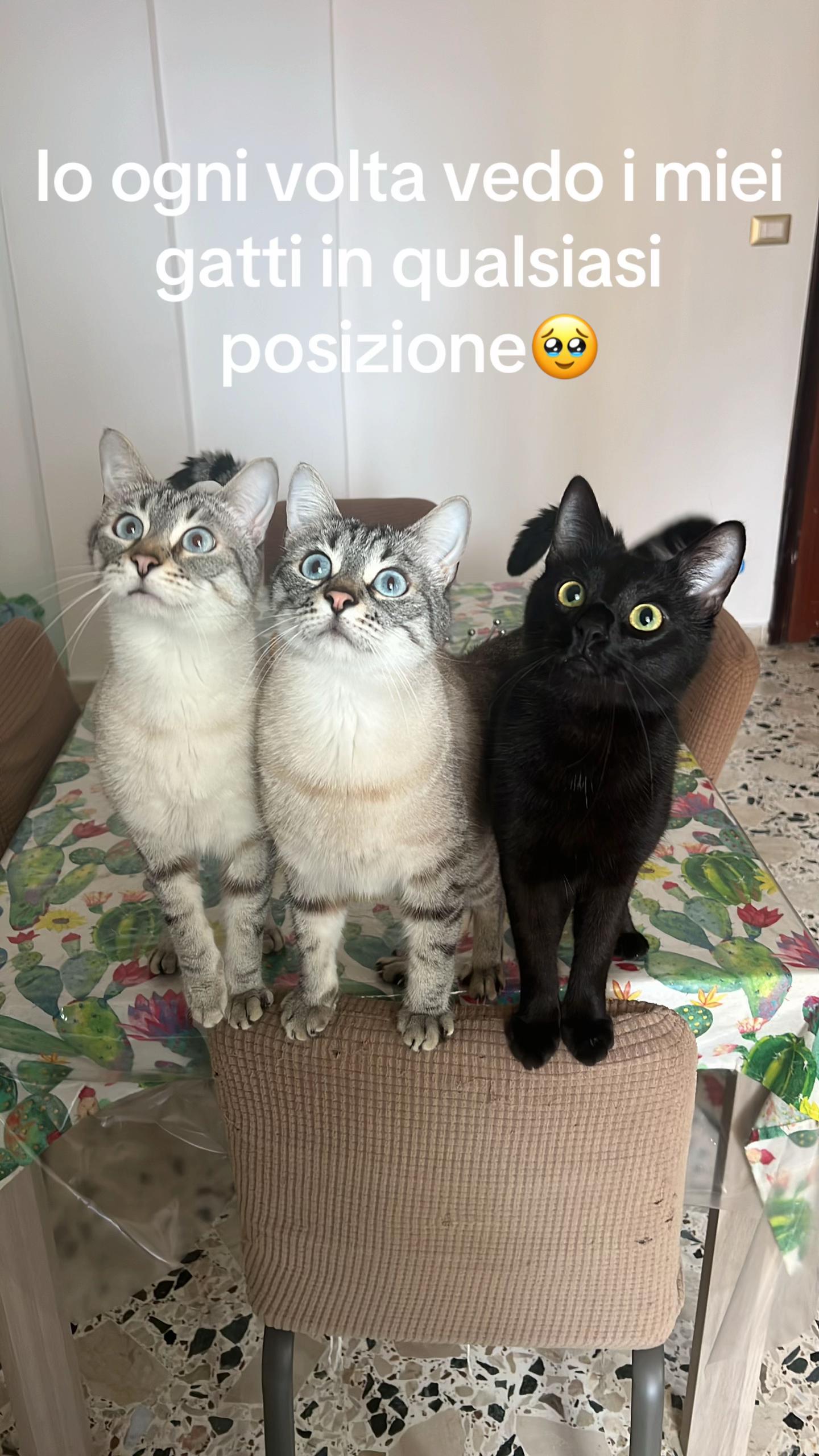 @Federica Russo