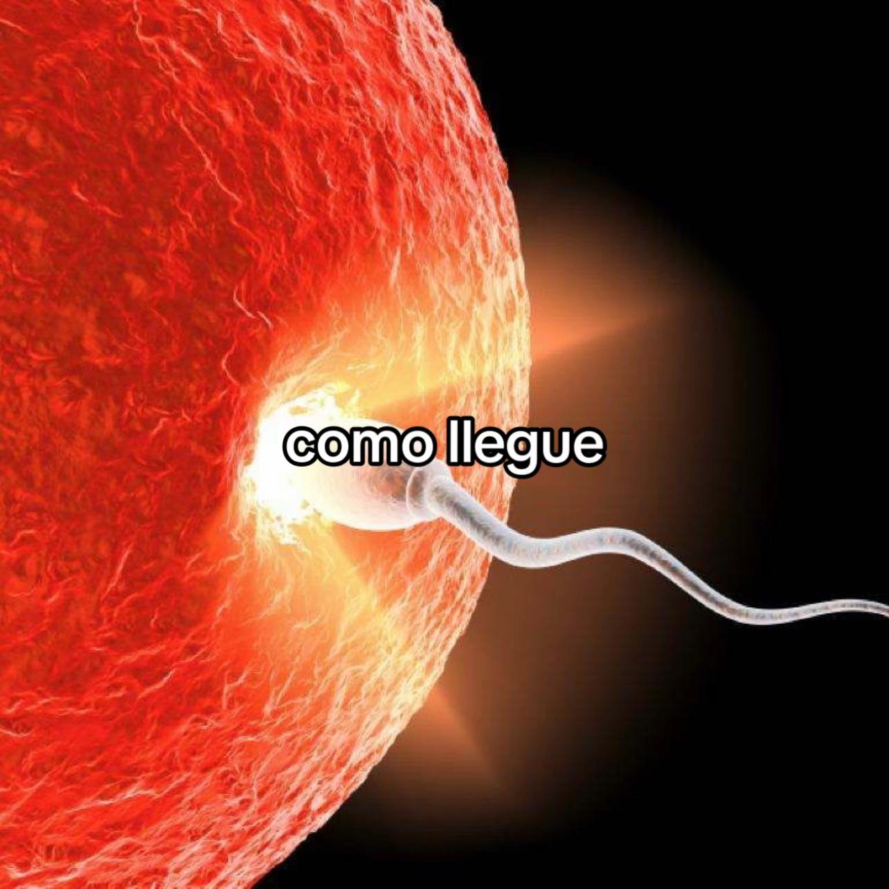 @cab.fortnite