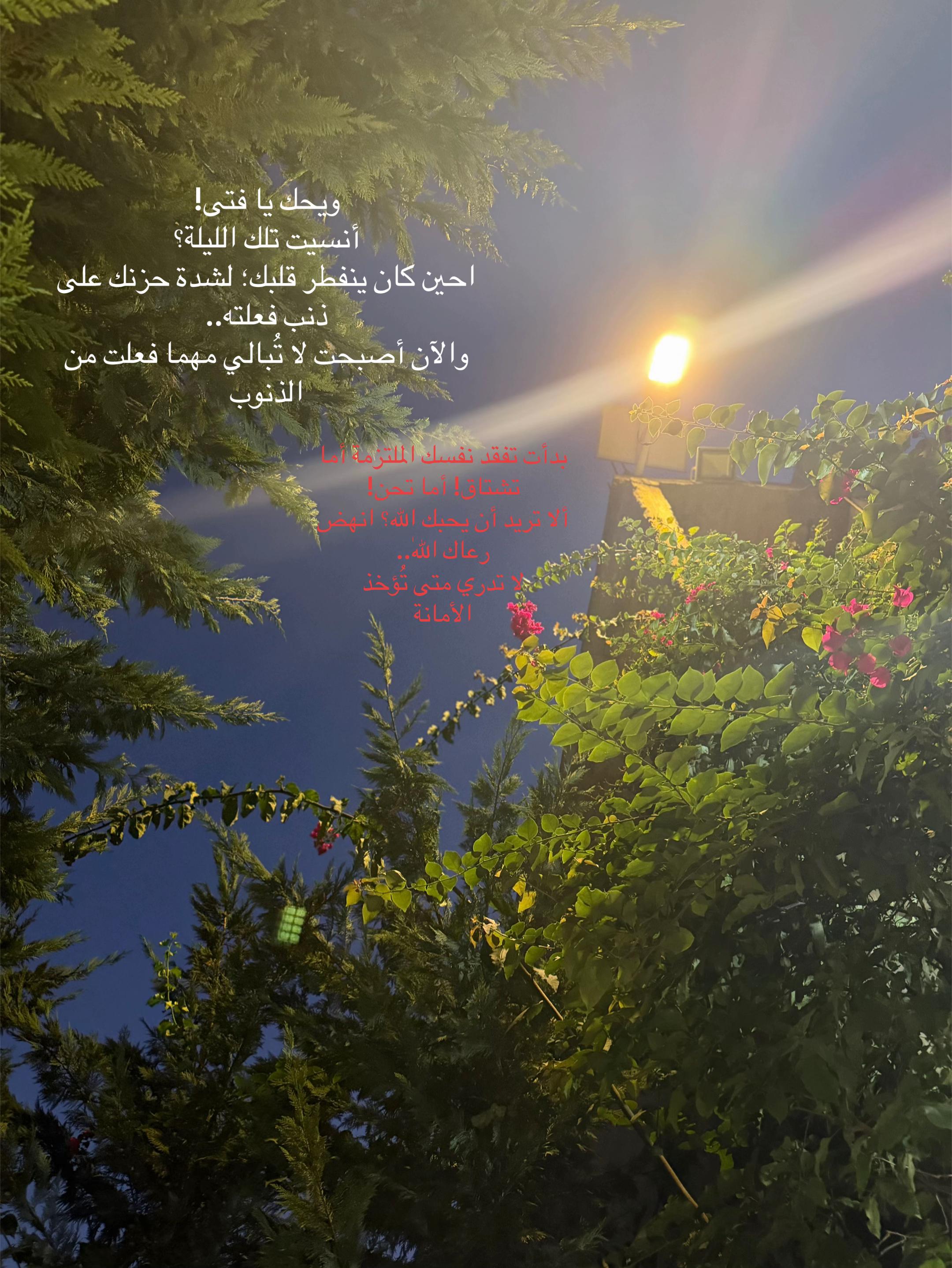 @جـ𓍯ود🦢✨