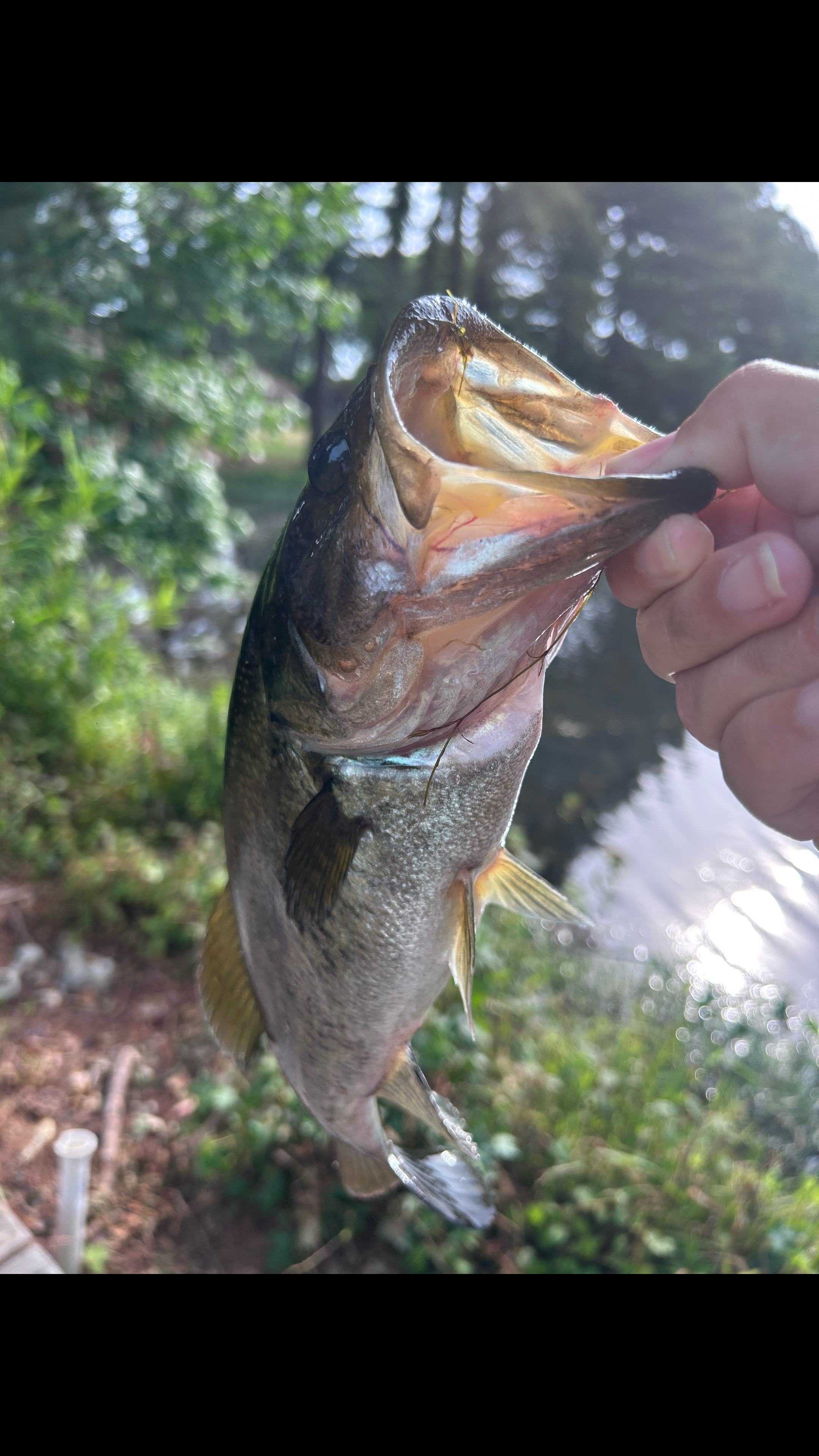 @💙🤍 Renee 💛 Cavazos💚♥️