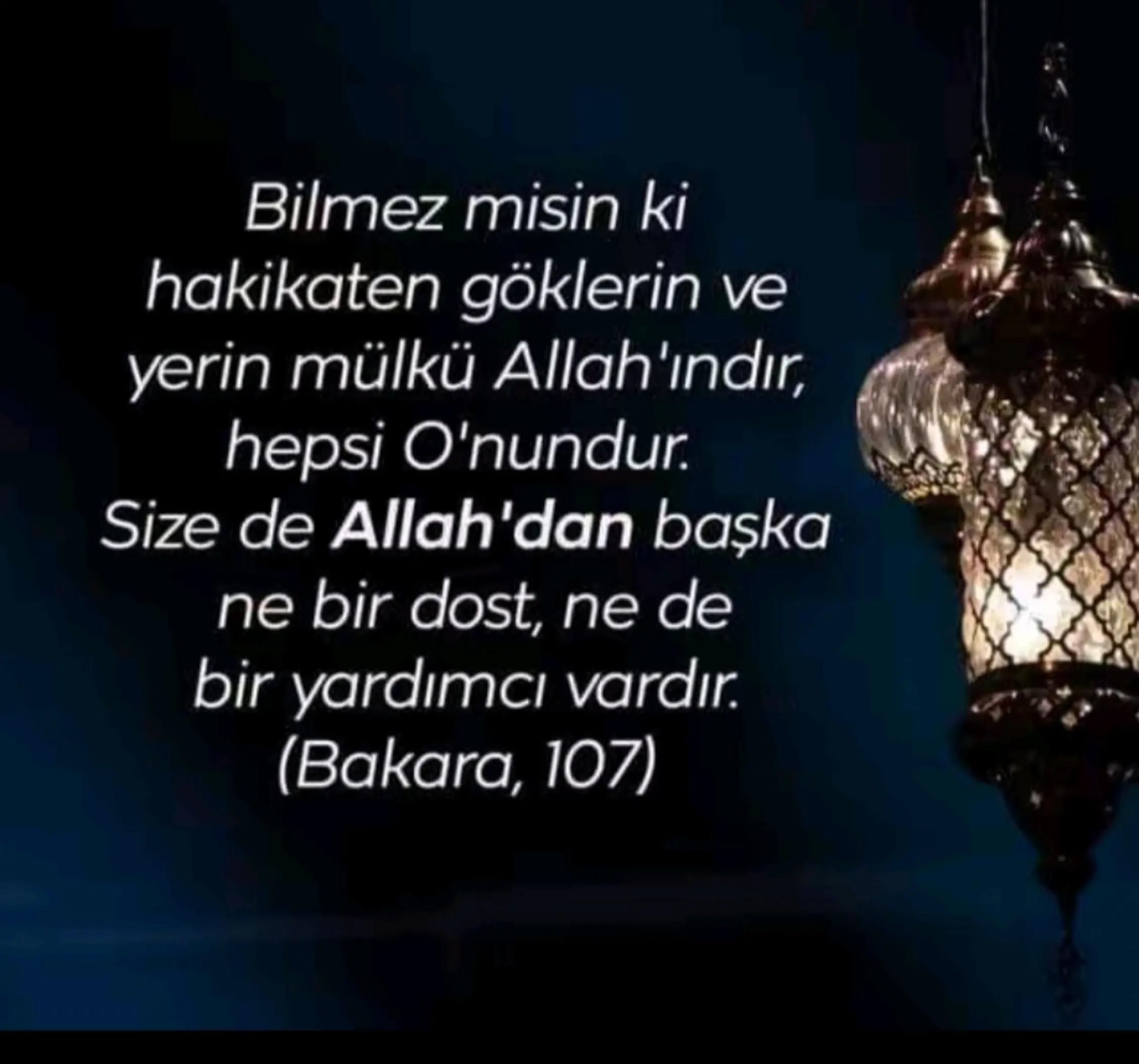 @orhanmarangoz🏵️