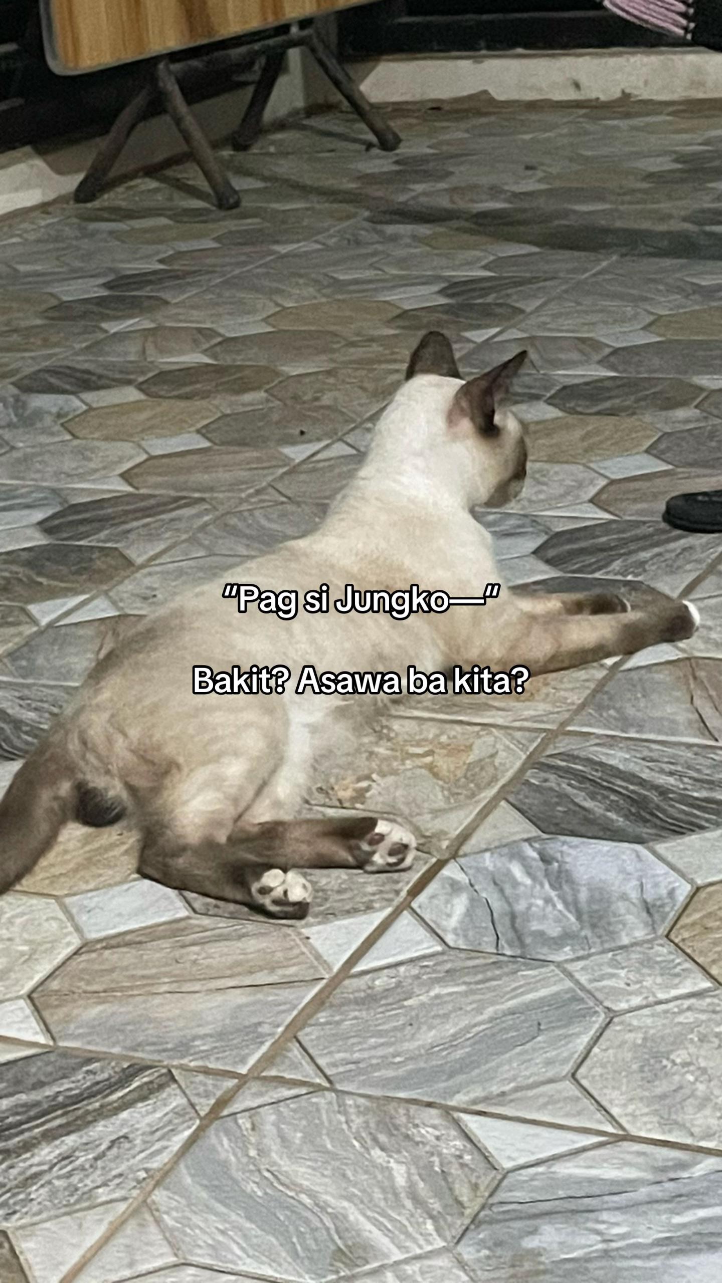 @Shaii_