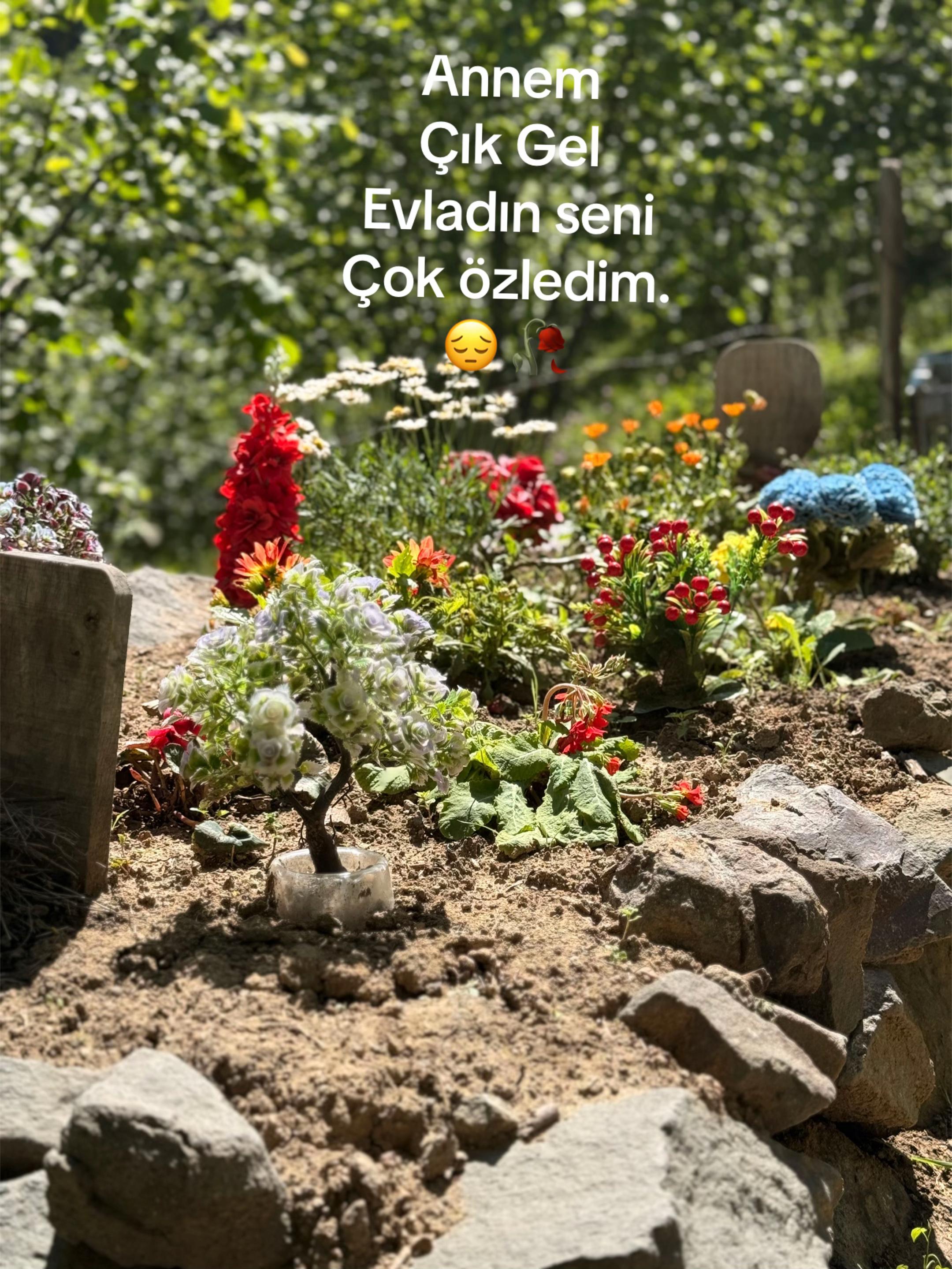 @Kenan İbaç
