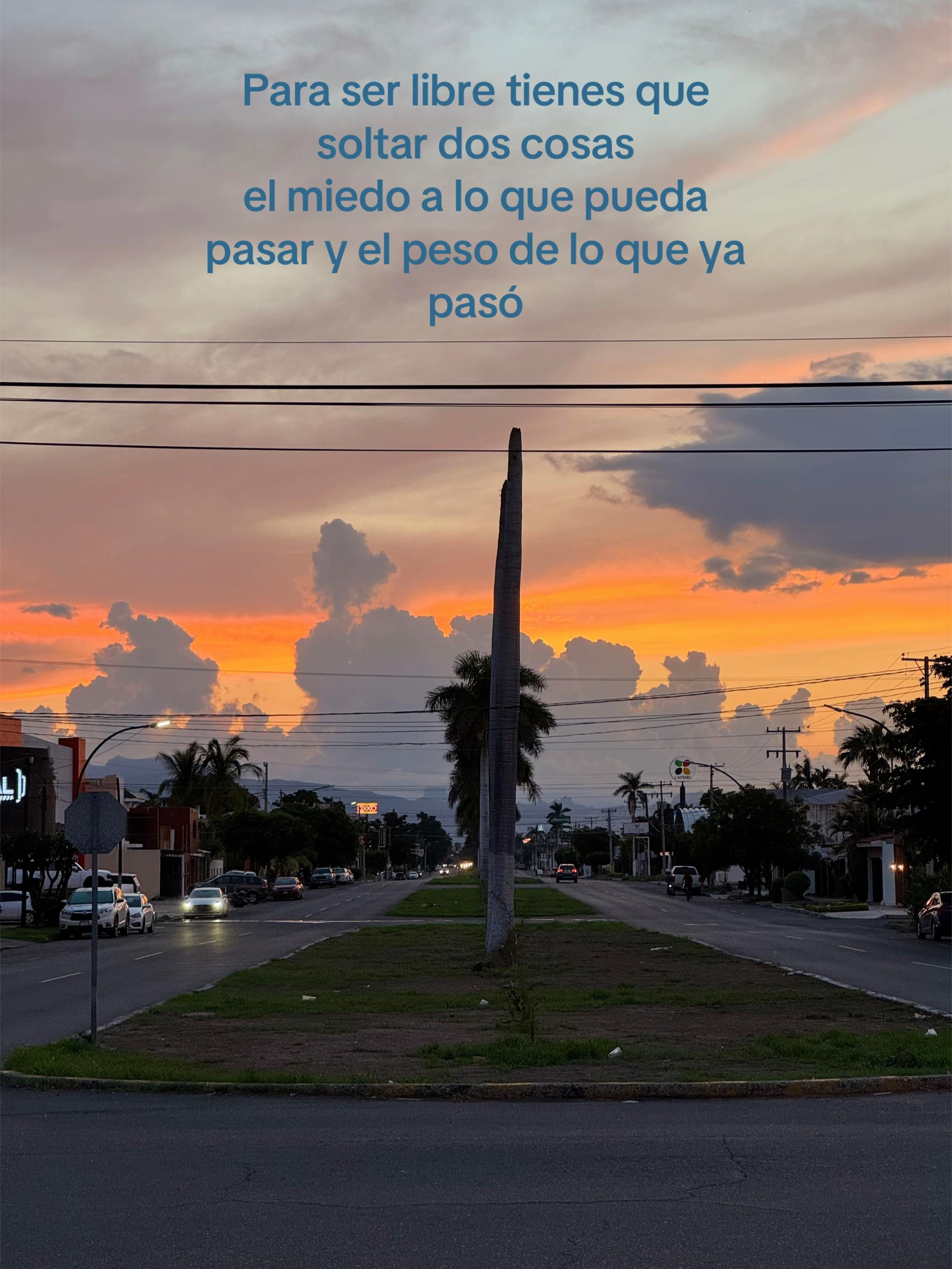 @Jesus Manuel Z R