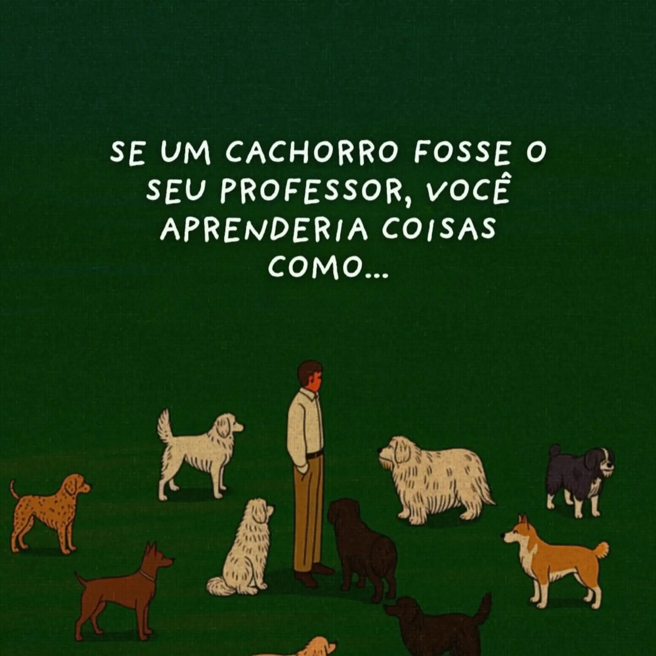 @MeditaDor
